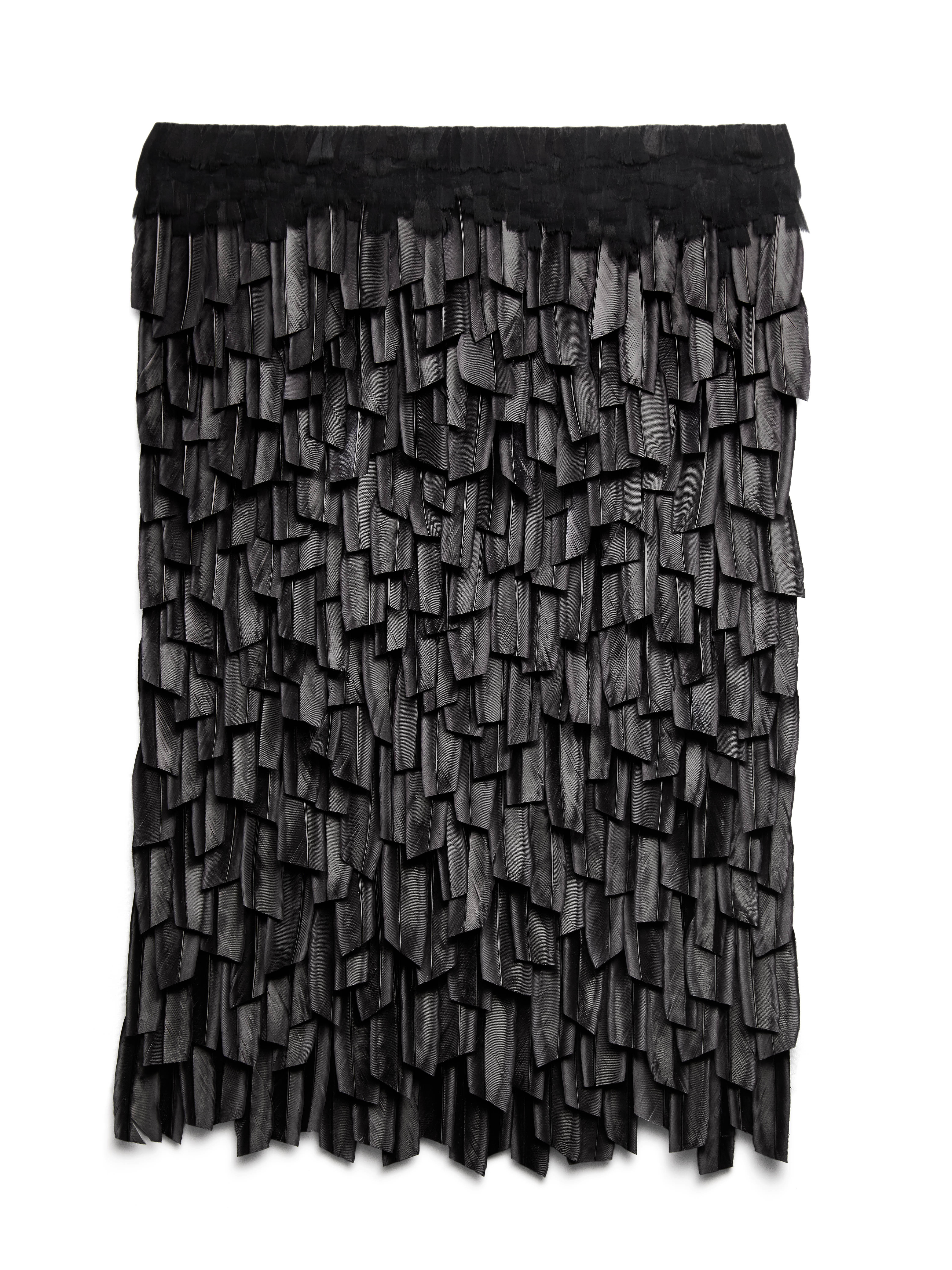 Echantillon plumasserie, Black. Couleur : noir Catégorie : Black