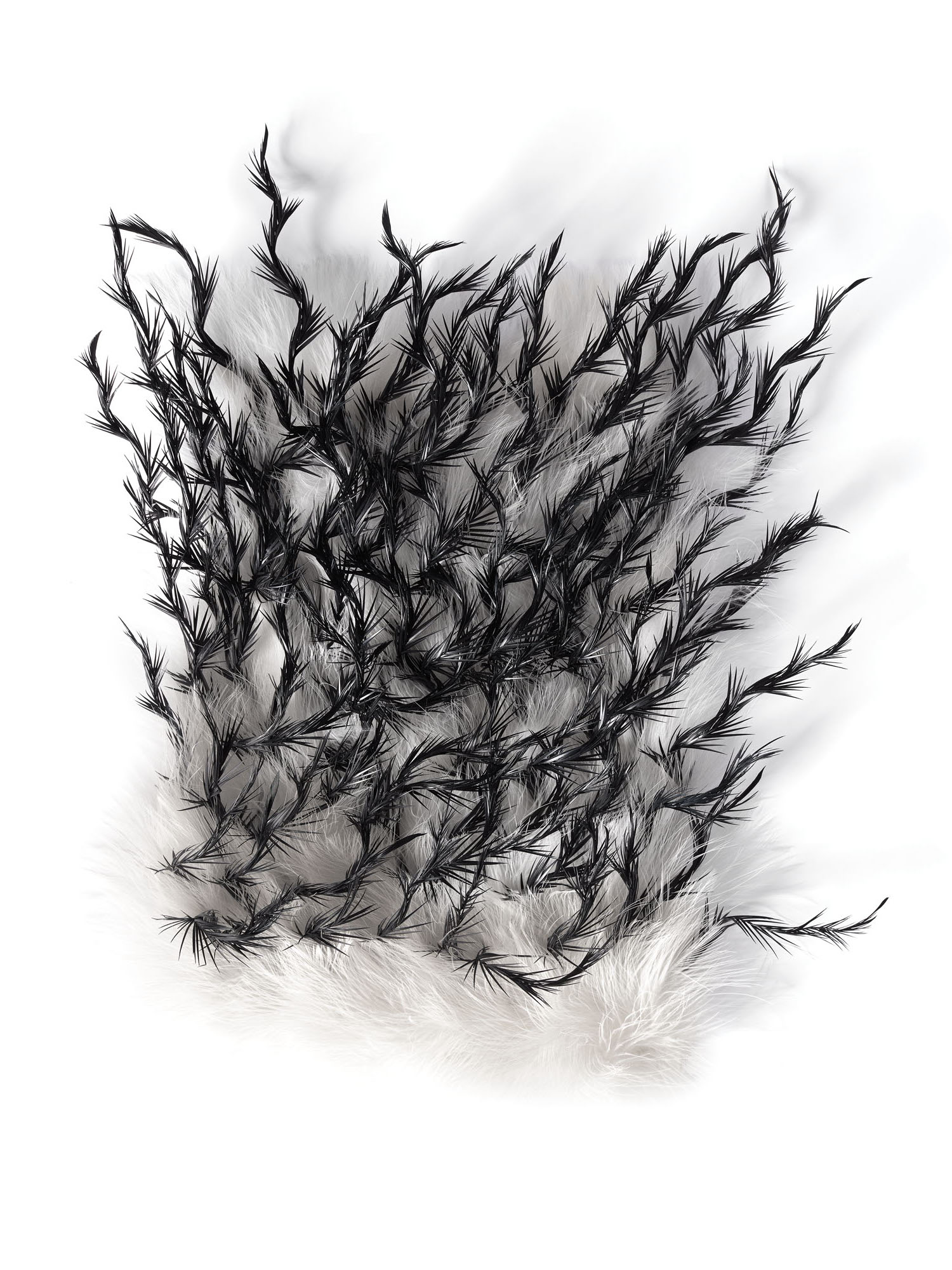 Echantillon plumasserie, Bramble. Couleur : noir Catégorie : black