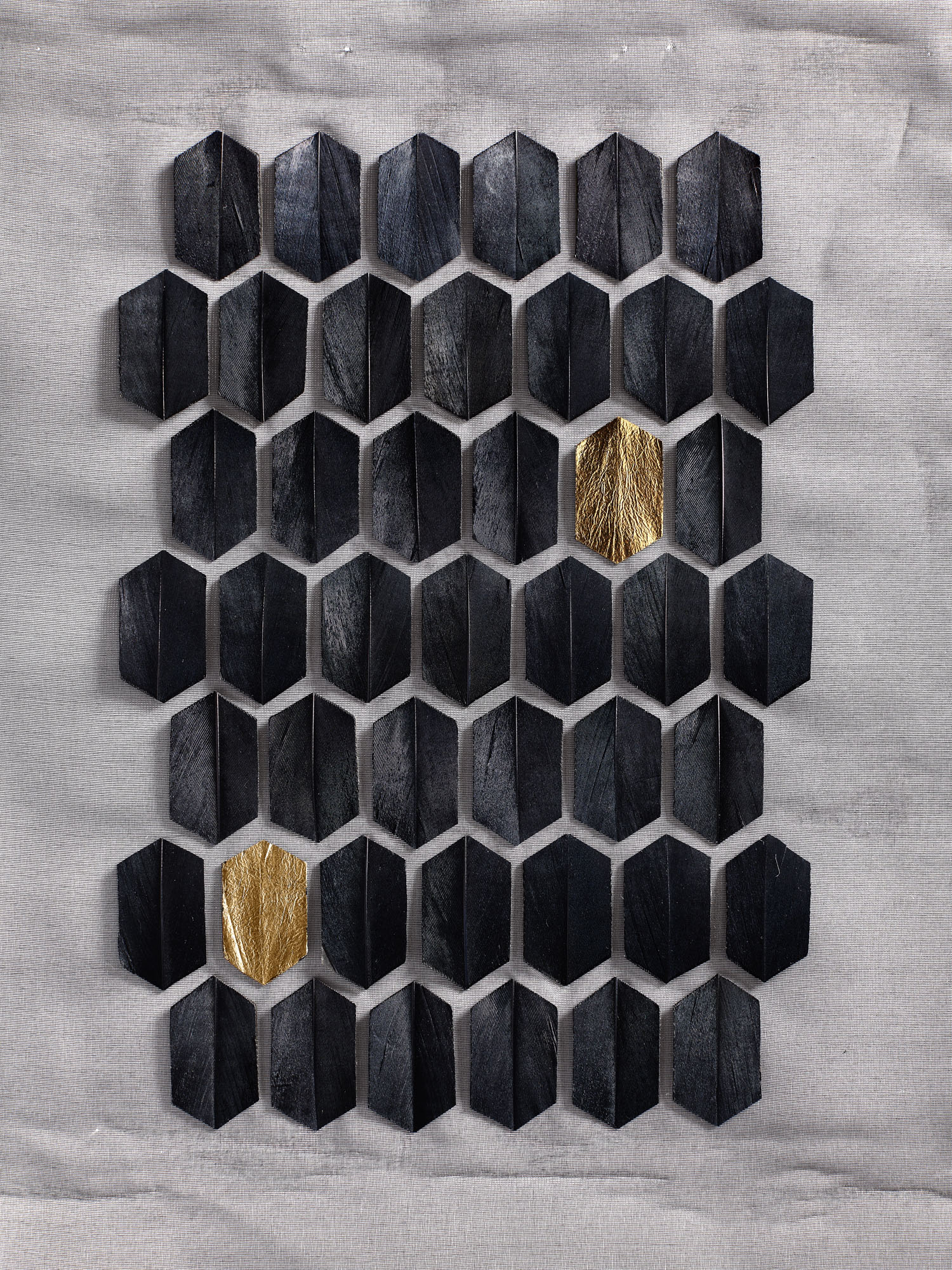 Echantillon plumasserie, Edo II. Couleur : noir, gold Catégorie : black