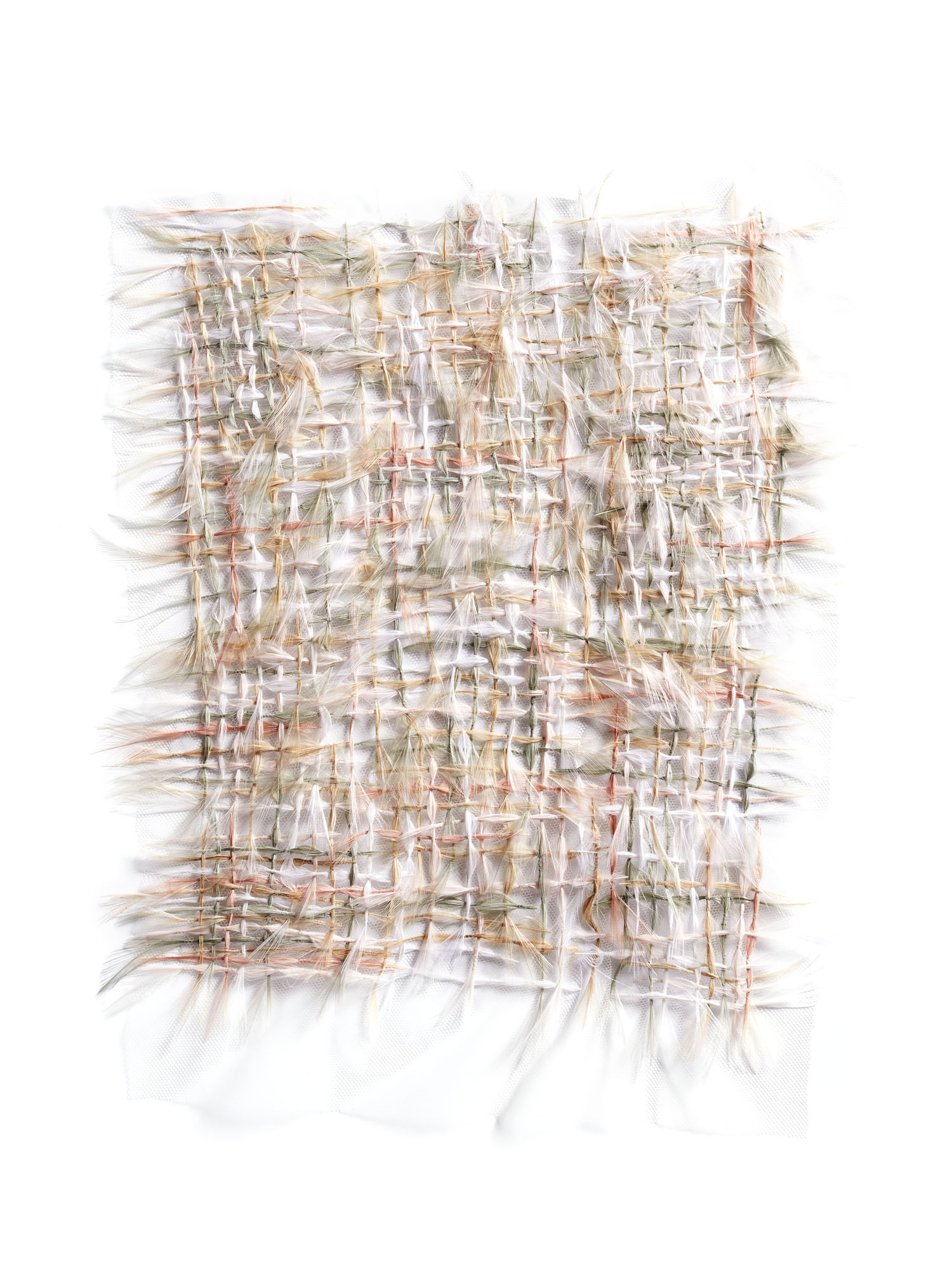 Echantillon plumasserie, Hesperos. Couleur : multicolor pastel Catégorie : Embroidery