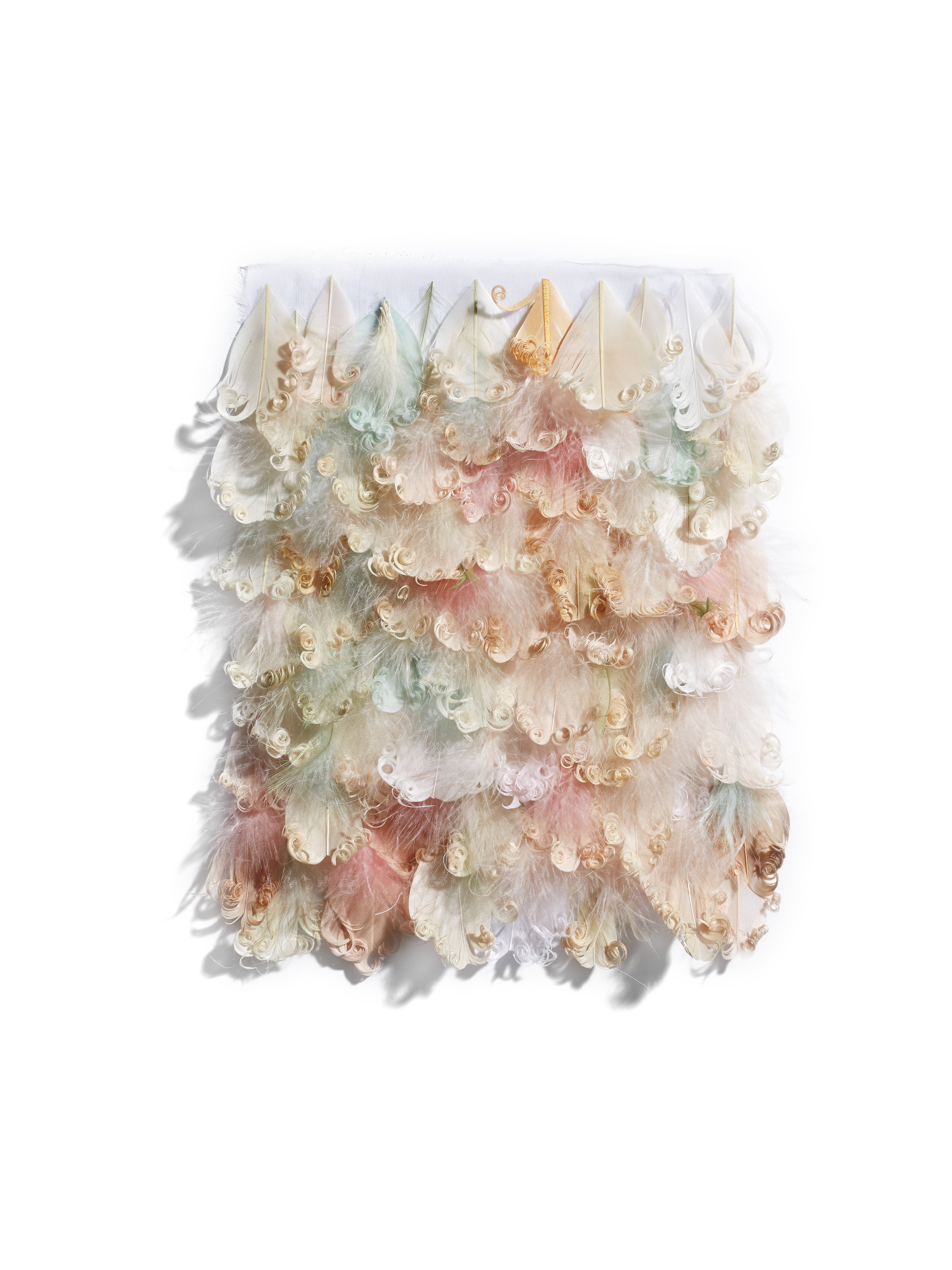 Echantillon plumasserie, DElicacy. Couleur : blanc, rose, bleu Catégorie : Fluffy