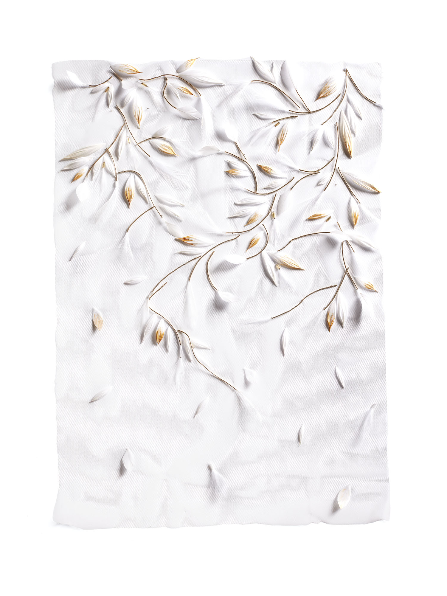 Echantillon plumasserie, Thalie. Couleur : blanc, gold Catégorie : Gold