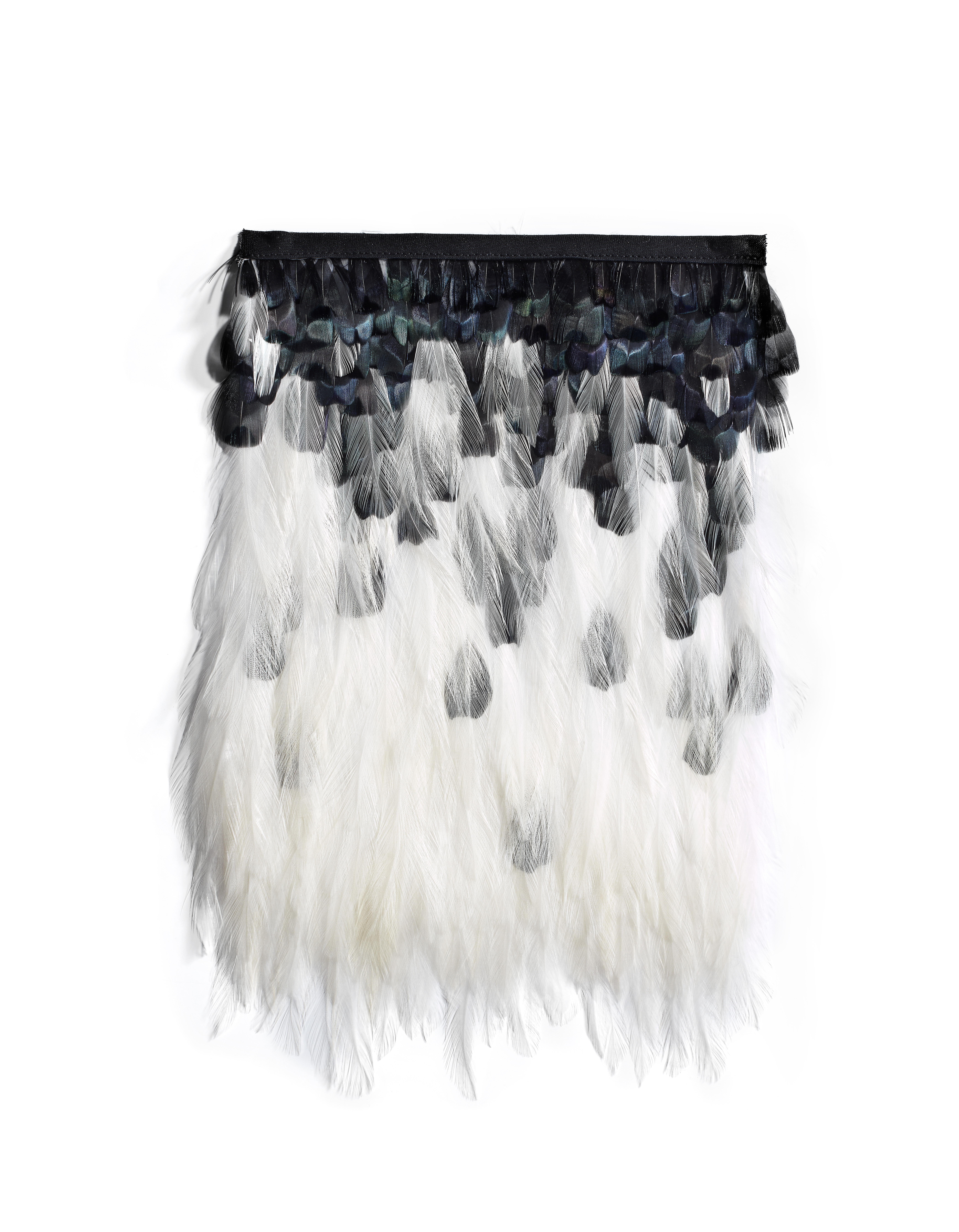 Echantillon plumasserie, Black woody Couleur : blanc, noir Catégorie : Graphic