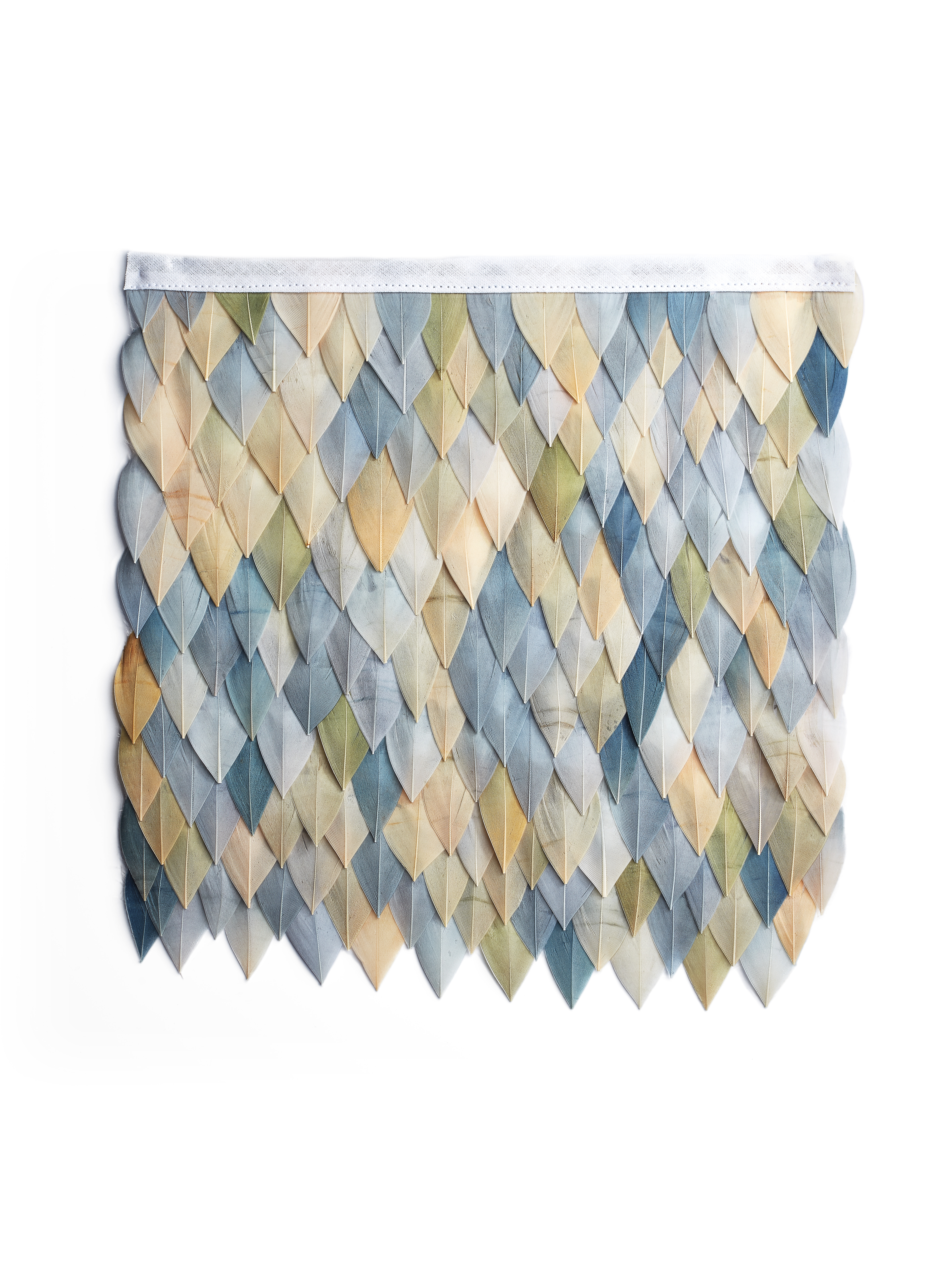 Echantillon plumasserie, Blue heron. Couleur : bleu, vert, jaune, beige Catégorie : Graphic