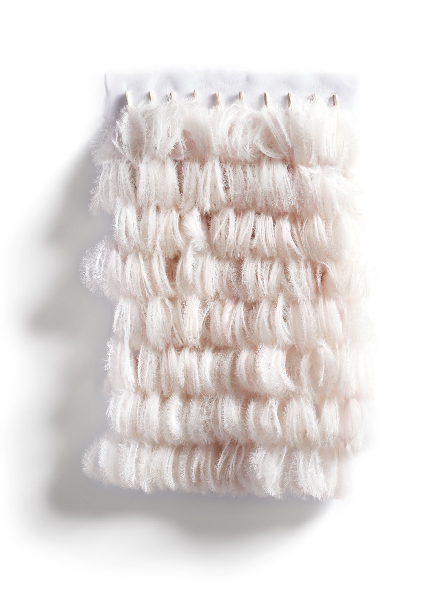 Echantillon plumasserie, Chantilly. Couleur : rose pâle Catégorie : Graphic