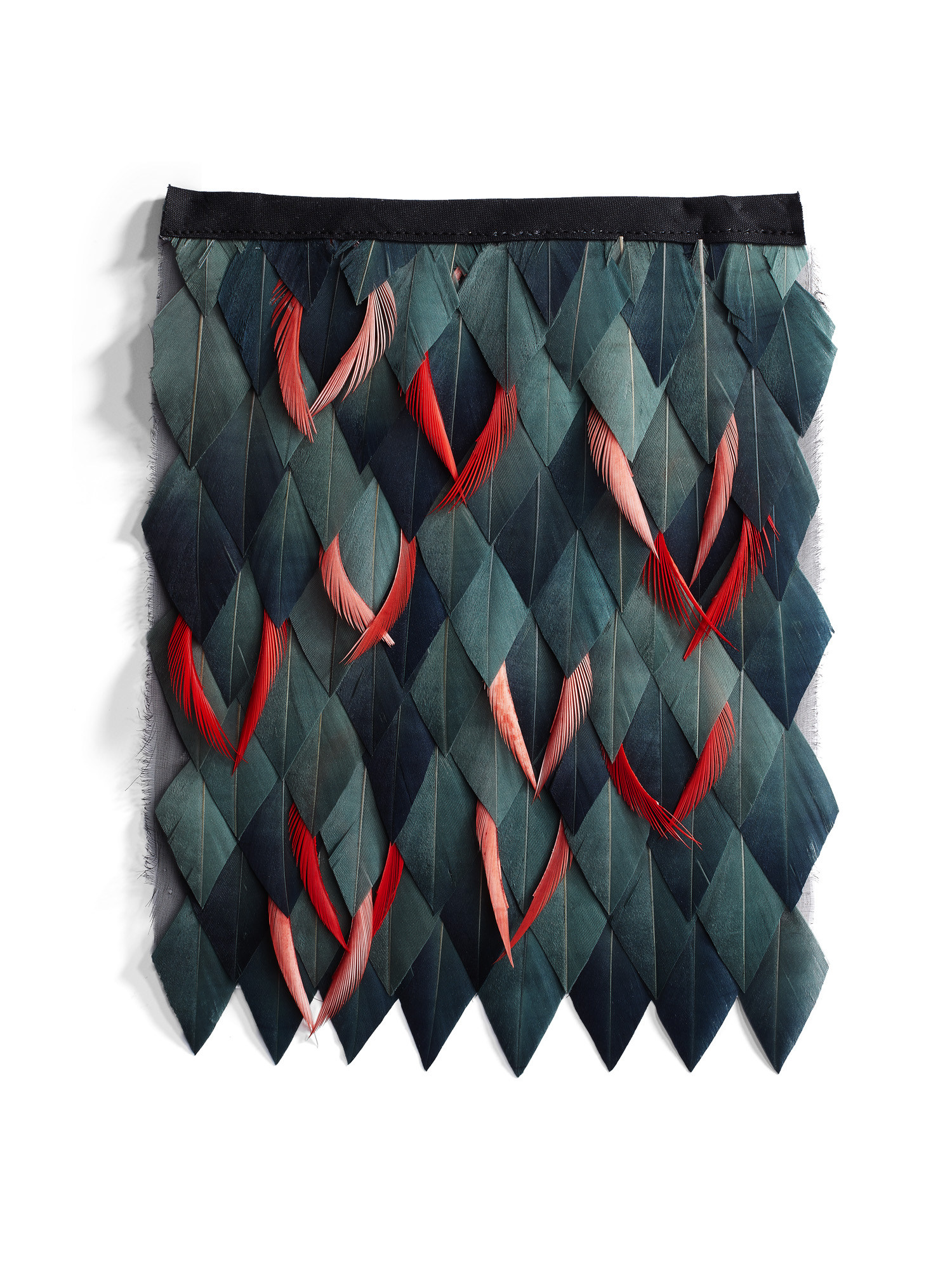 Echantillon plumasserie, Eden. Couleur : vert, rouge Catégorie : Graphic