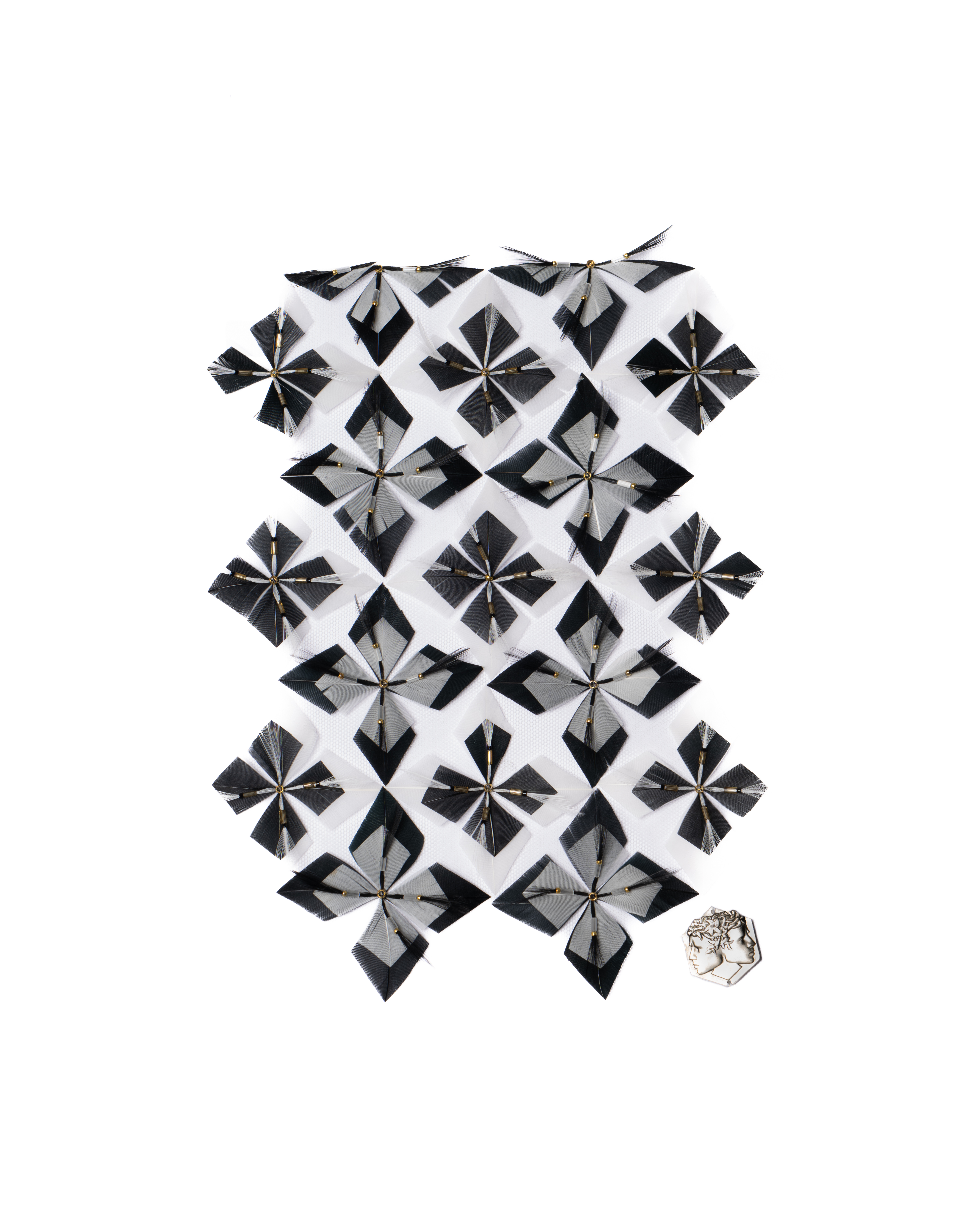 Echantillon plumasserie, Pattern obsession. Couleur : blanc, noir Catégorie : Graphic