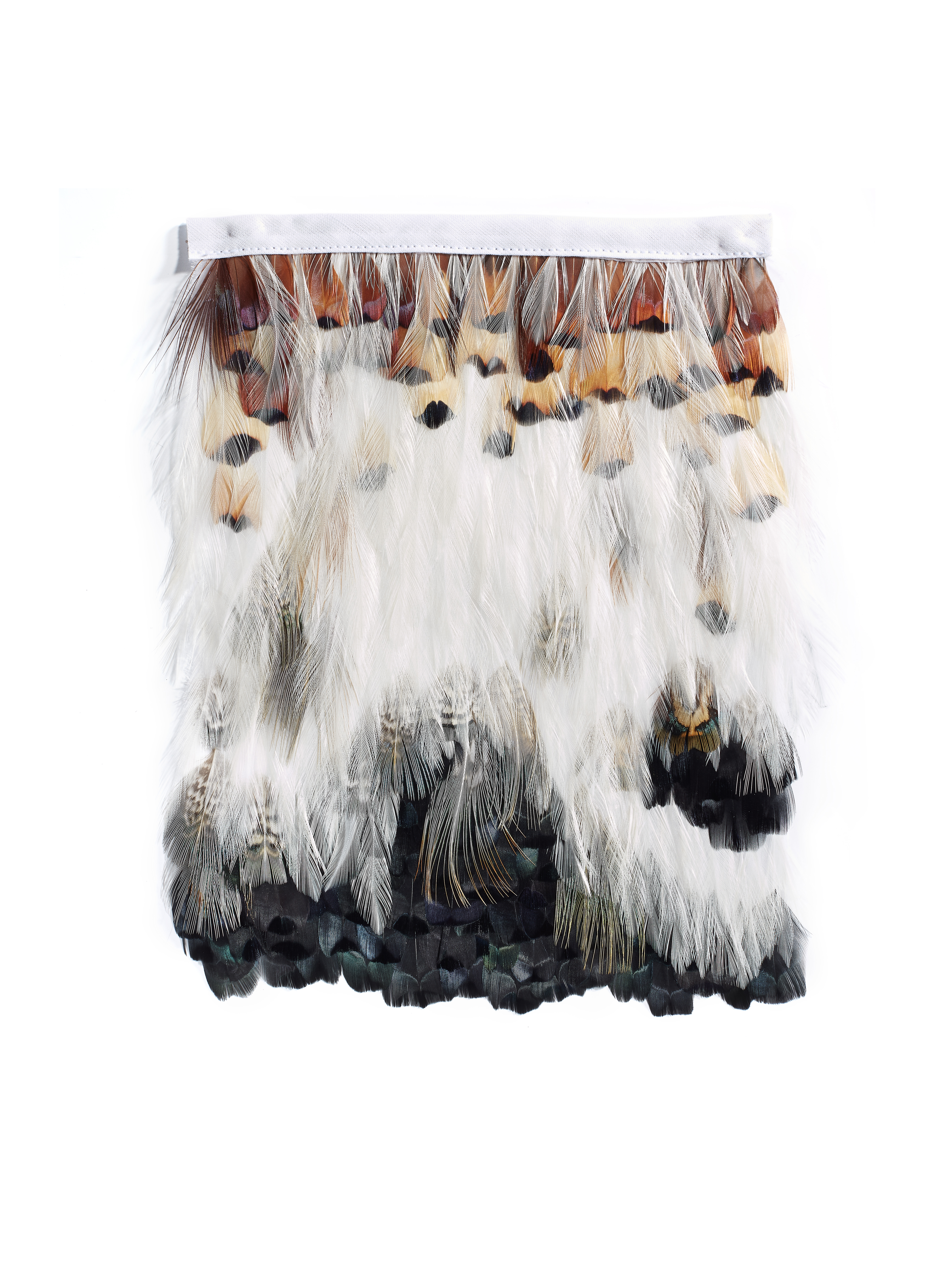 Echantillon plumasserie, Woody. Couleur : blanc, noir, marrons, rouge, orange Catégorie : Miscellaneous