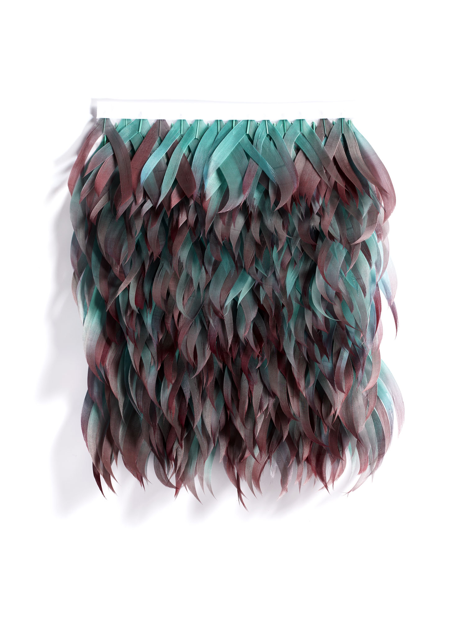 Echantillon plumasserie, Cyrana flame. Couleur : bleu, rose Catégorie : Multicolor