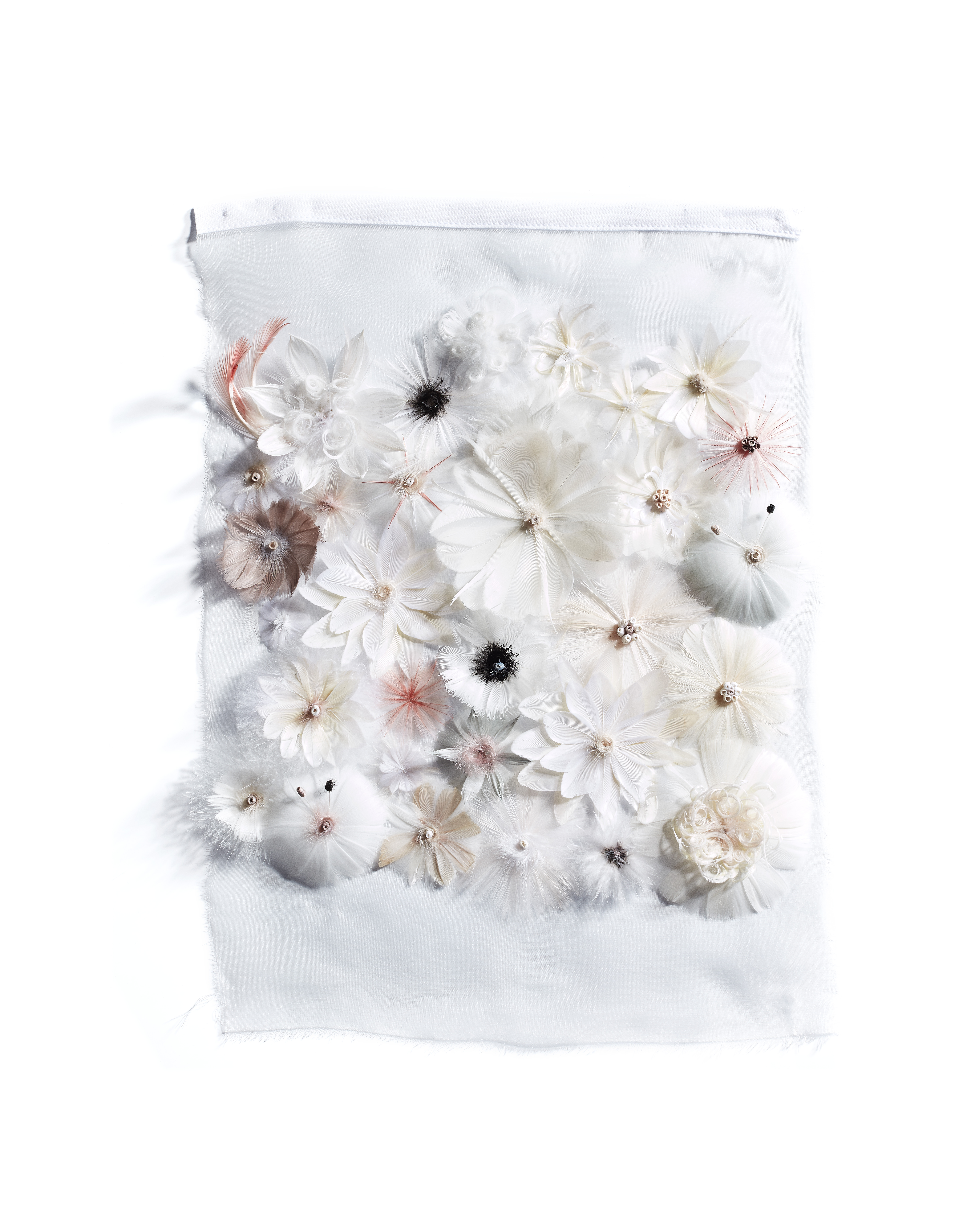 Echantillon plumasserie, Garden 18th. Couleur : blanc, noir, rose clair Catégorie : Vegetal