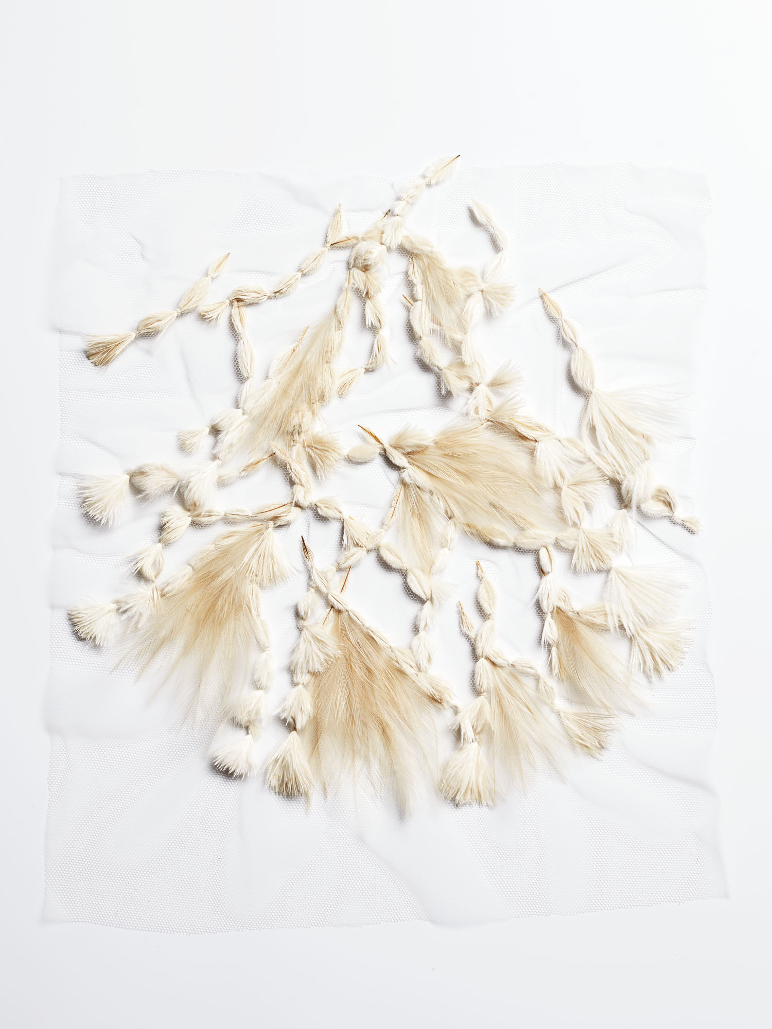 Echantillon plumasserie, Joshua tree. Couleur : beige Catégorie : Vegetal