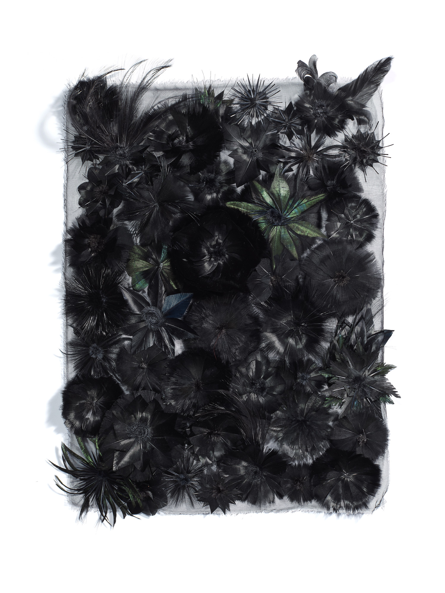 Echantillon plumasserie, Night Garden 18th. Couleur : noir, vert Catégorie : Vegetal