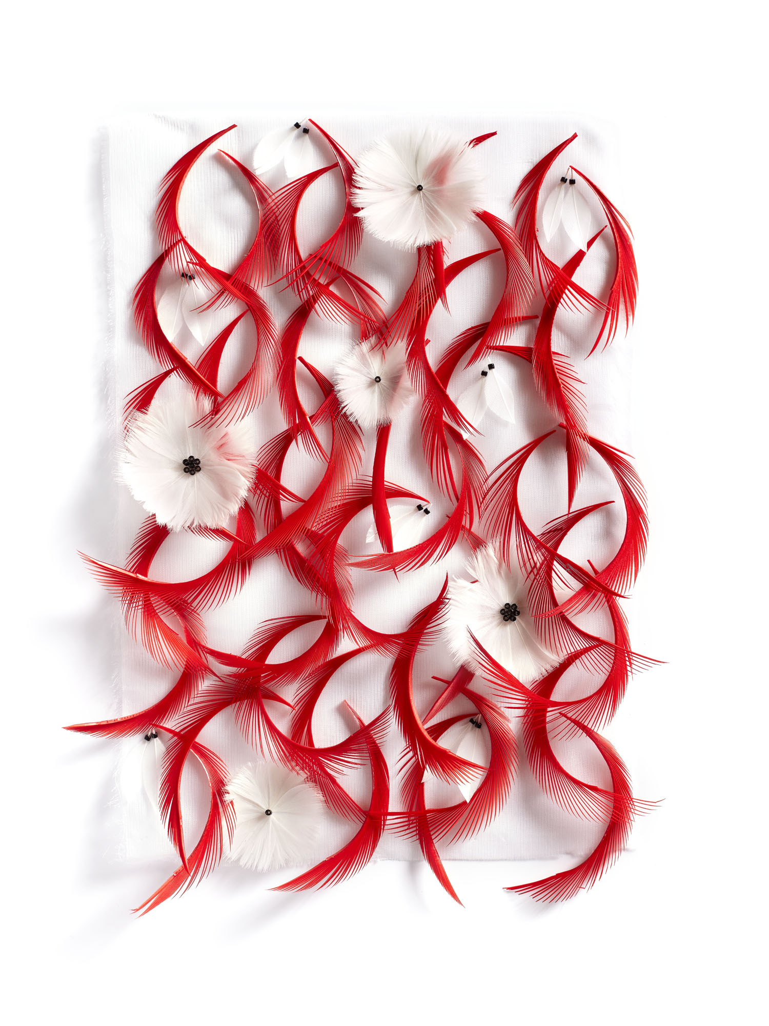 Echantillon plumasserie, Torii. Couleur : blanc, rouge Catégorie : Vegetal