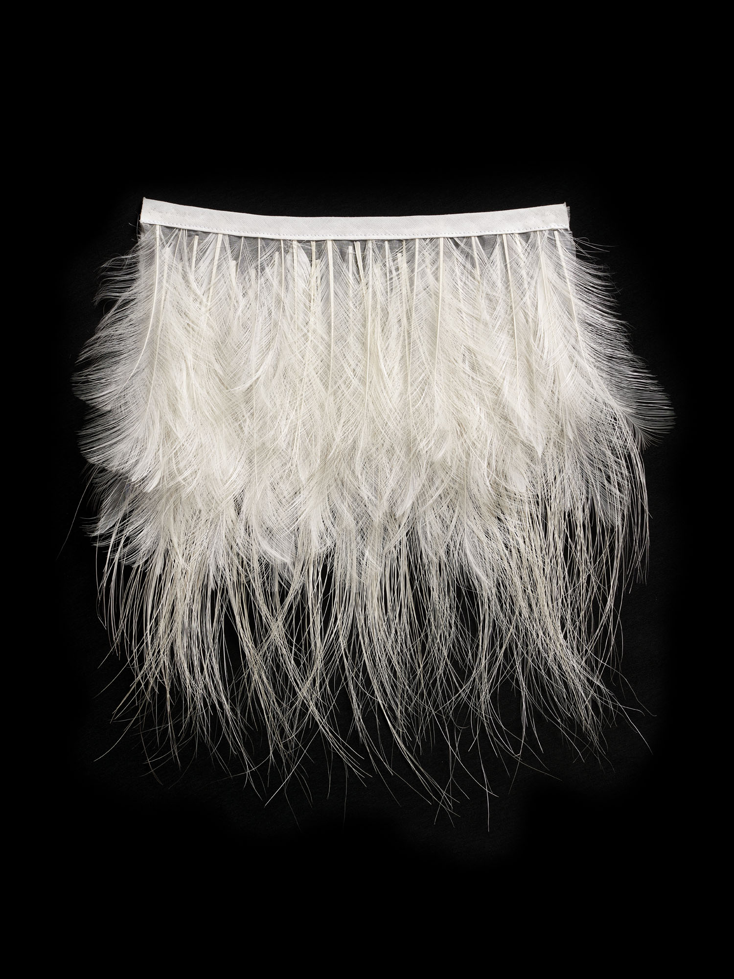 Echantillon plumasserie, Dry. Couleur : blanc Catégorie : White