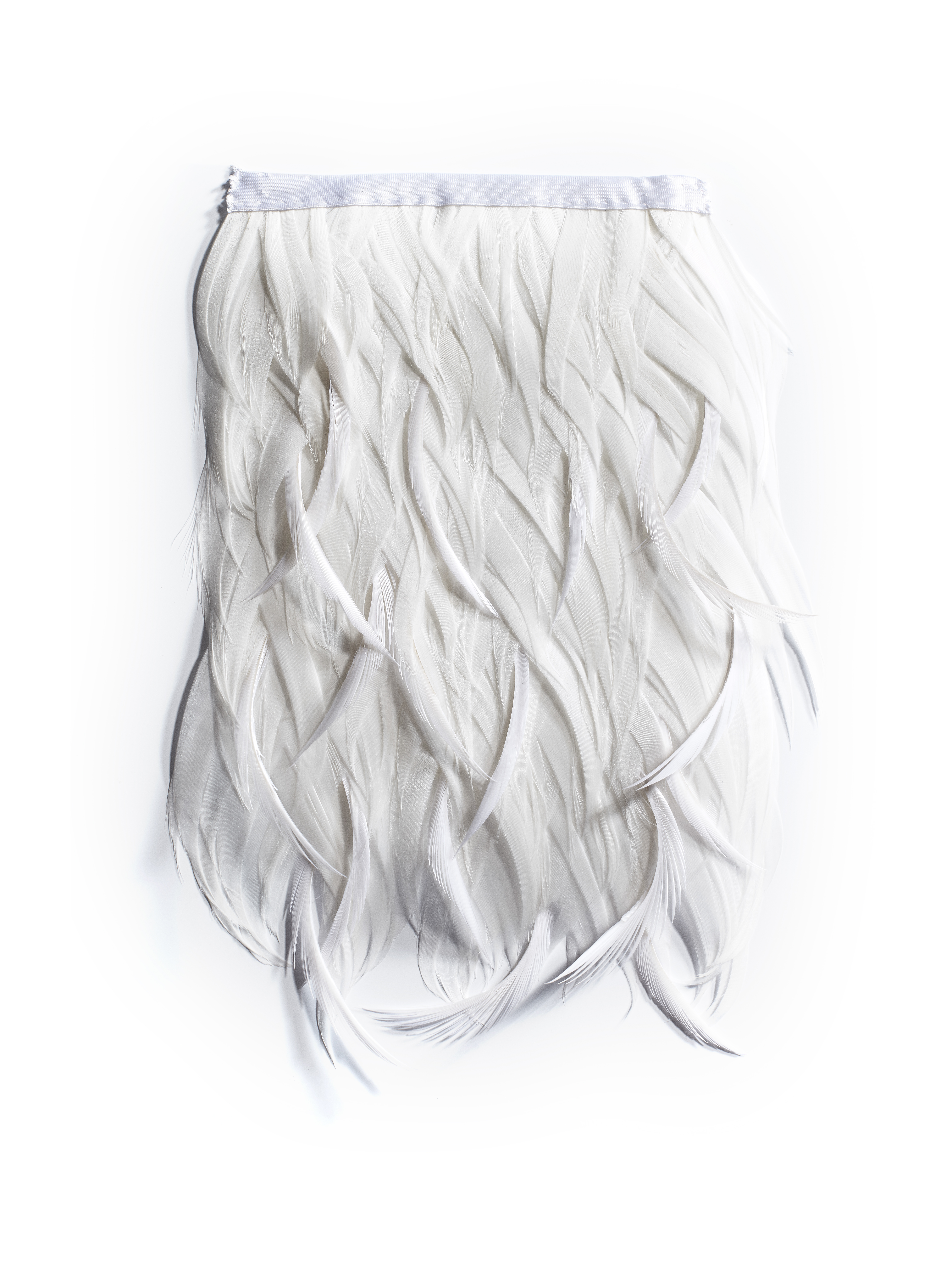 Echantillon plumasserie, Frost. Couleur : blanc Catégorie : White