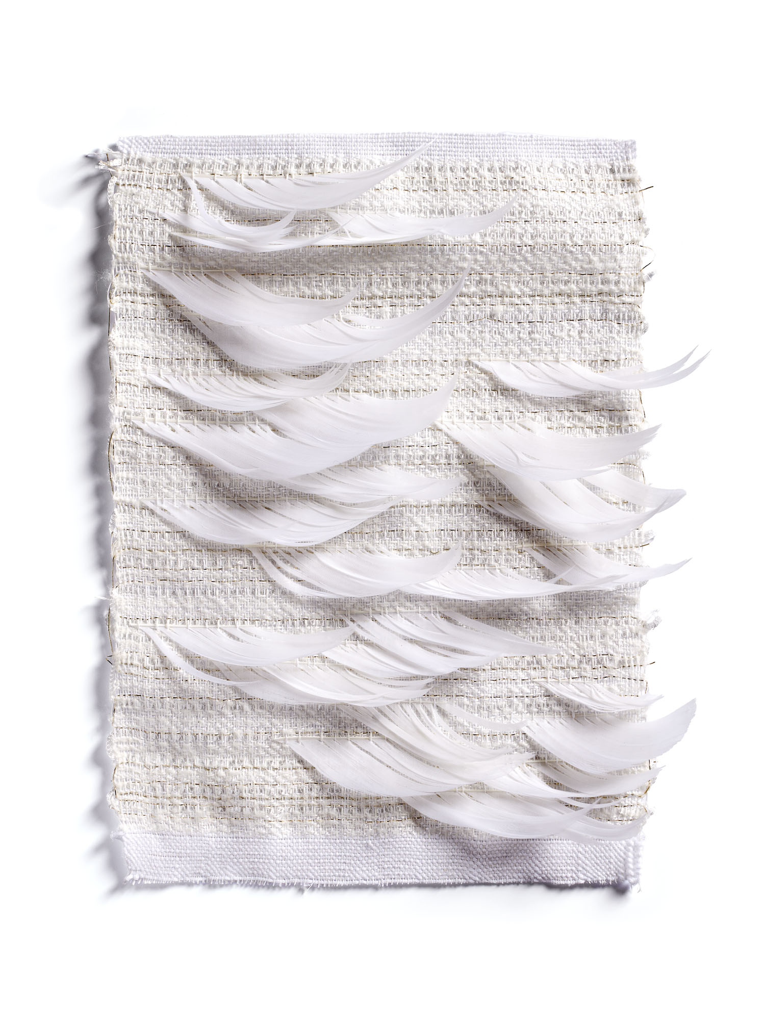 Echantillon plumasserie, Whisper bis. Catégorie : White