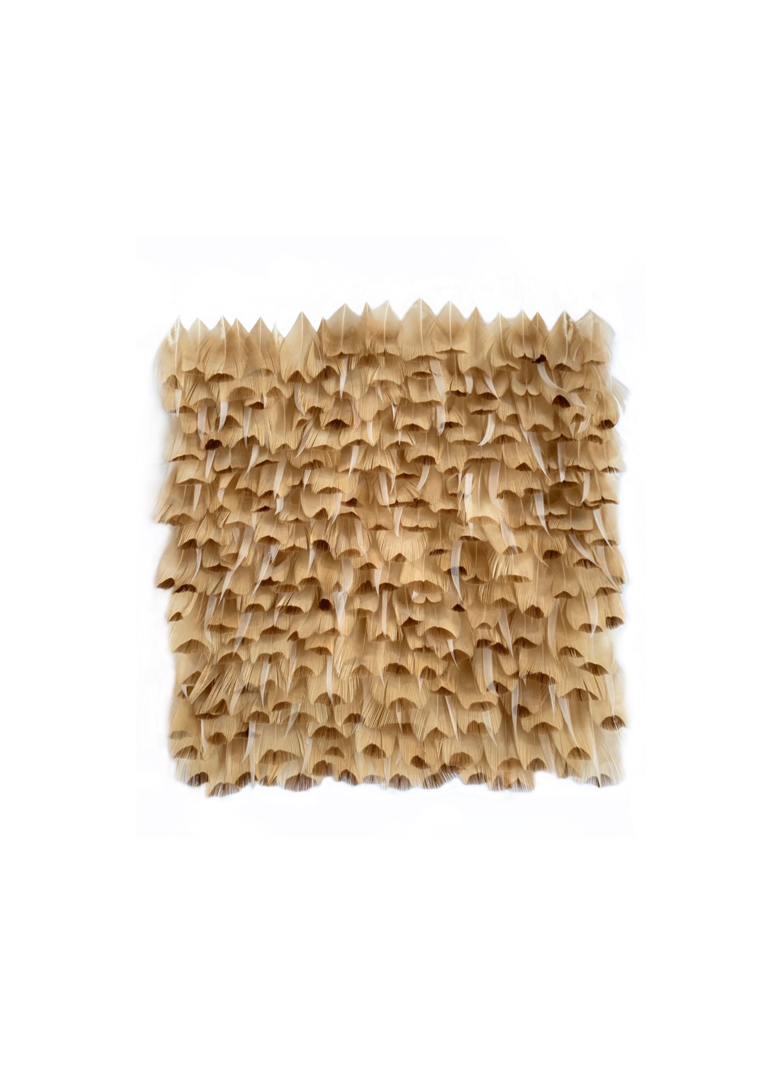 Echantillon plumasserie, Blondie. Couleur : crème, beige Catégorie : Animal