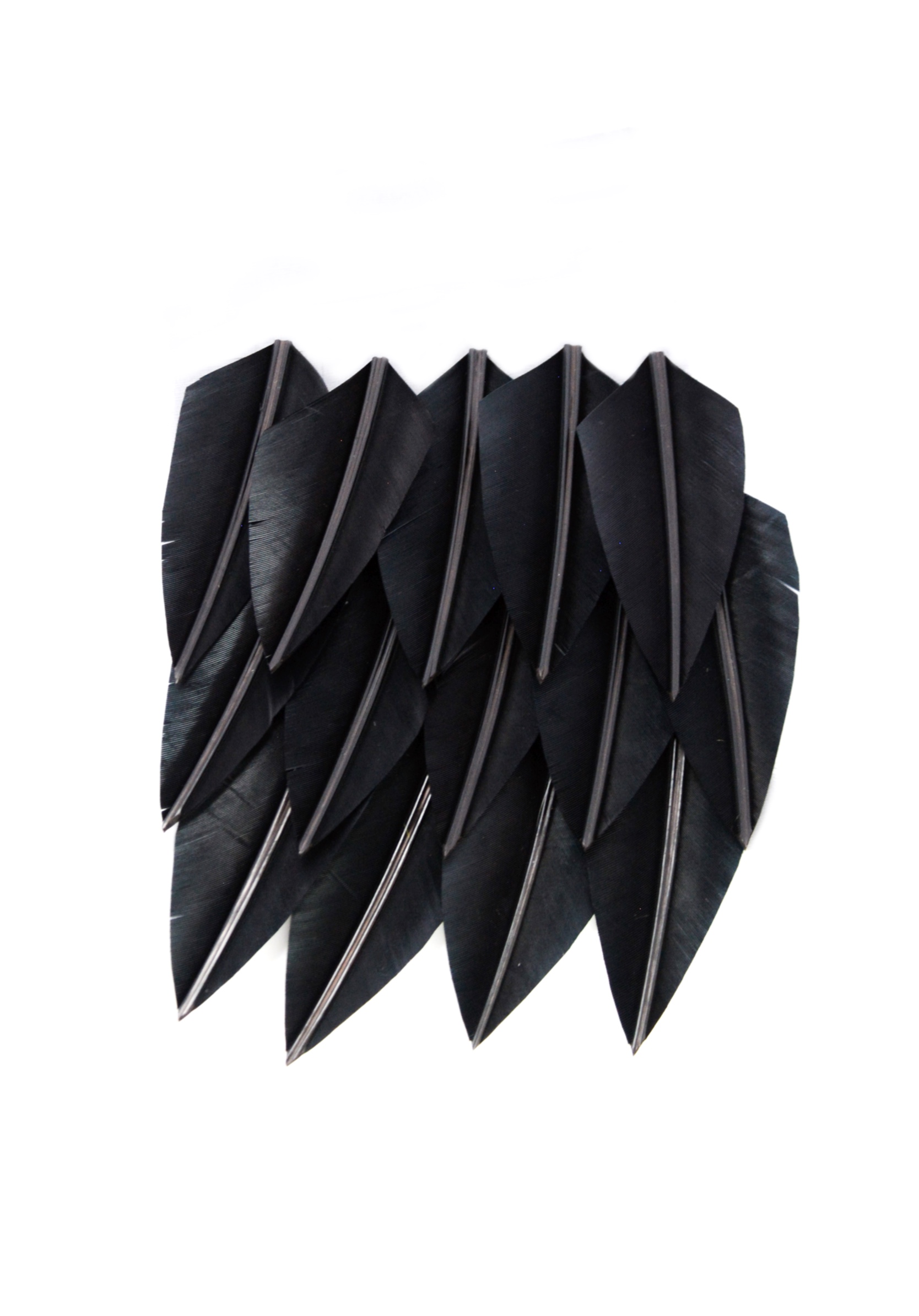 Echantillon plumasserie, Little toguna. Couleur : noir Catégorie : Black