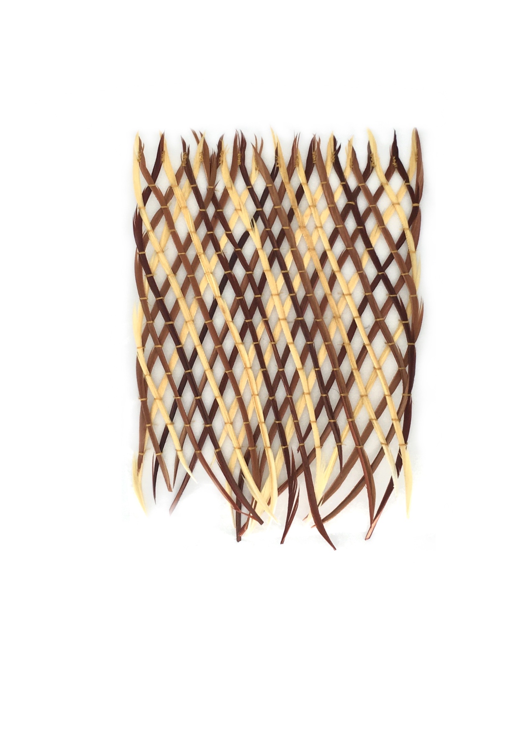 Echantillon plumasserie, Magni. Couleur : marron, jaune Catégorie : Embroidery