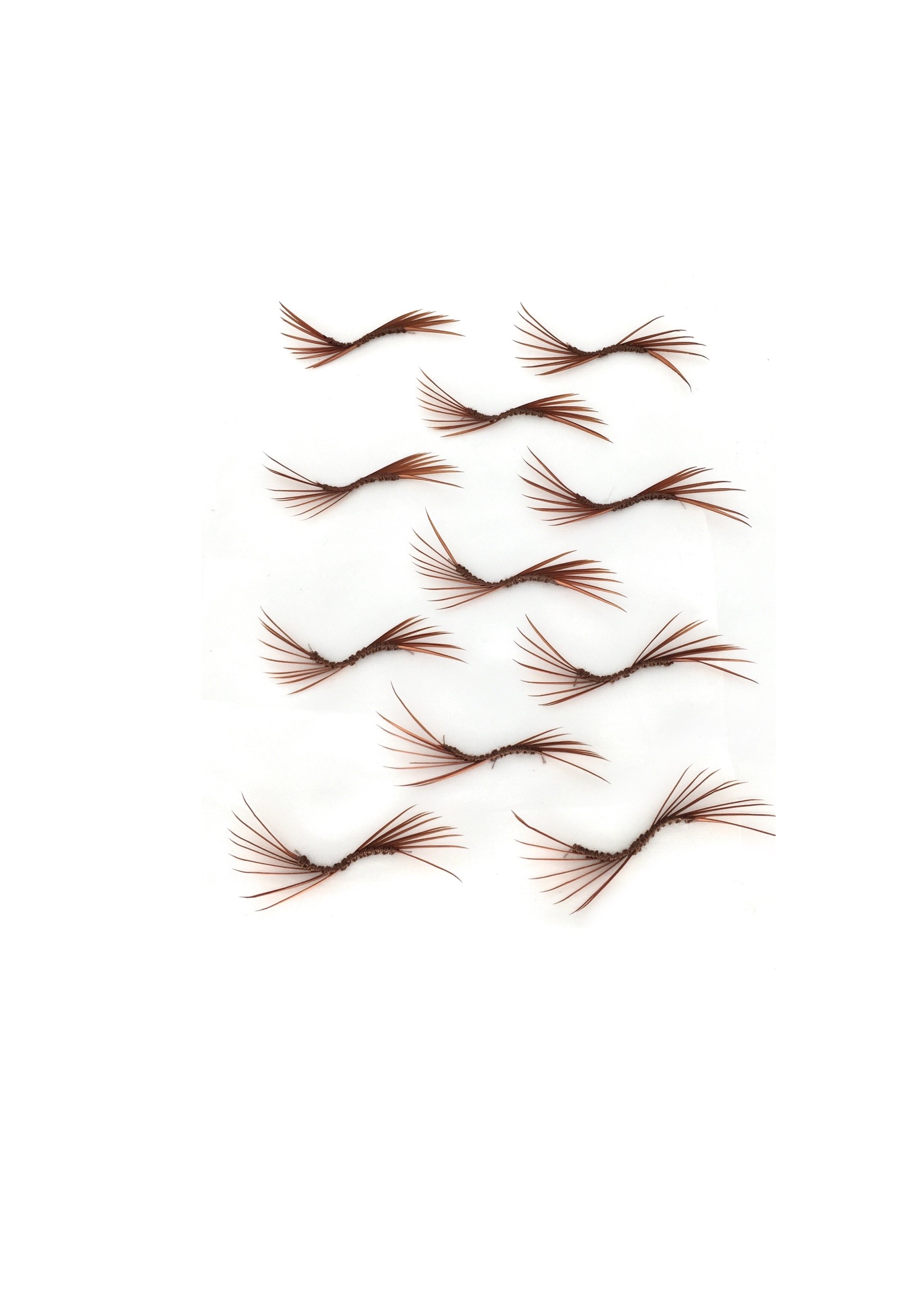 Echantillon plumasserie, Thor. Couleur : brun, cuivré Catégorie : Embroidery