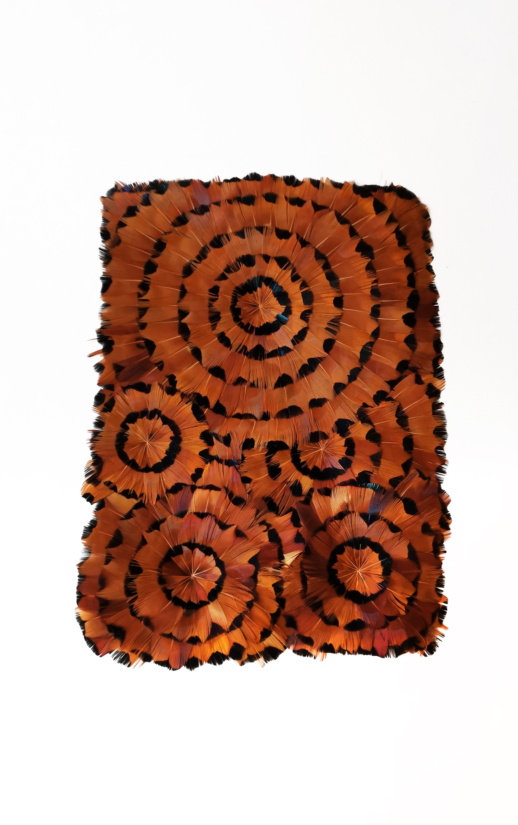 Echantillon plumasserie, Circle. Couleur : orange, noir, cuivré Catégorie : Graphic