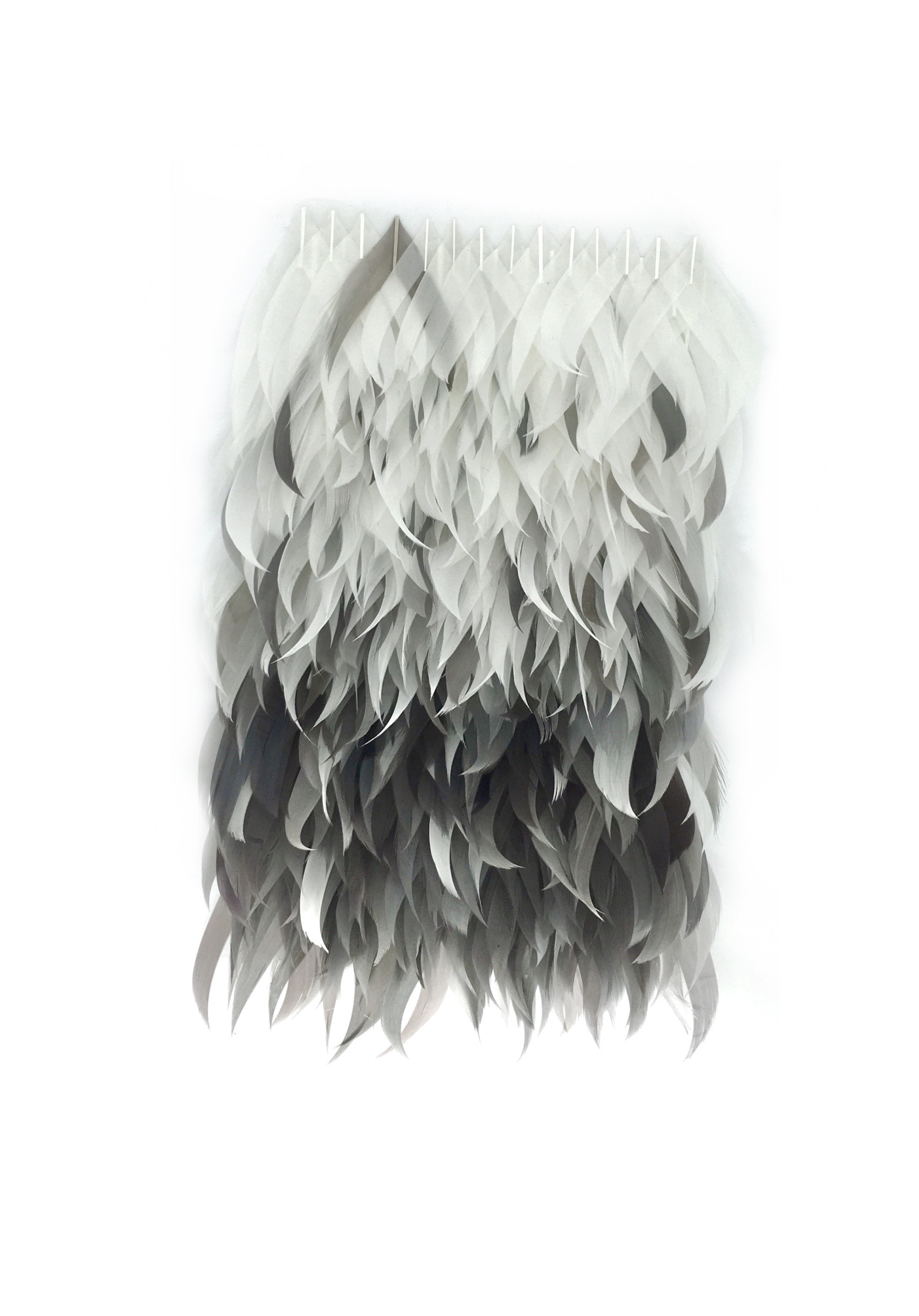 Echantillon plumasserie, Cold Flame. Couleur : blanc, gris Catégorie : Graphic