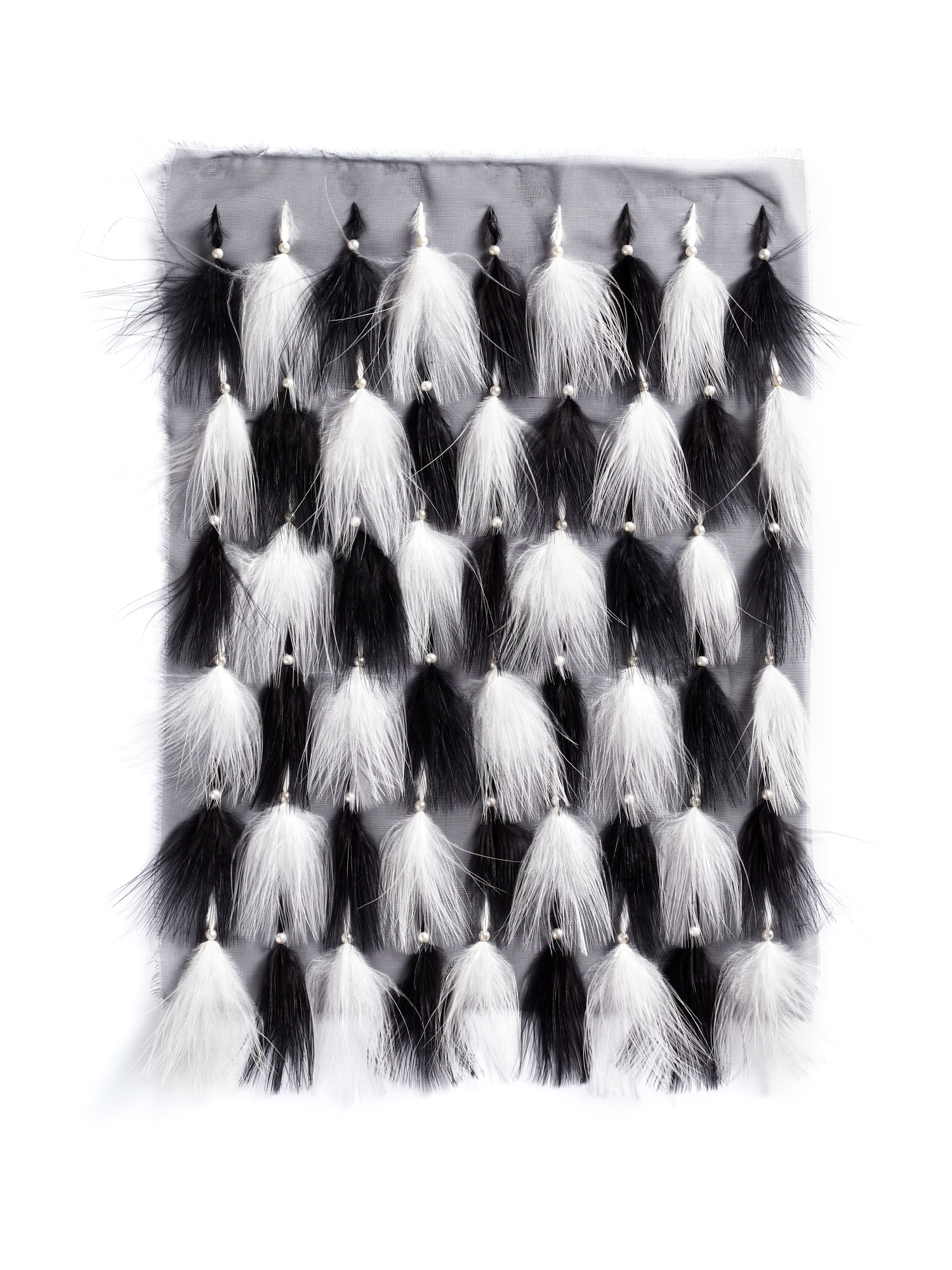 Echantillon plumasserie, Karl. Couleur : noir, blanc Catégorie : Graphic