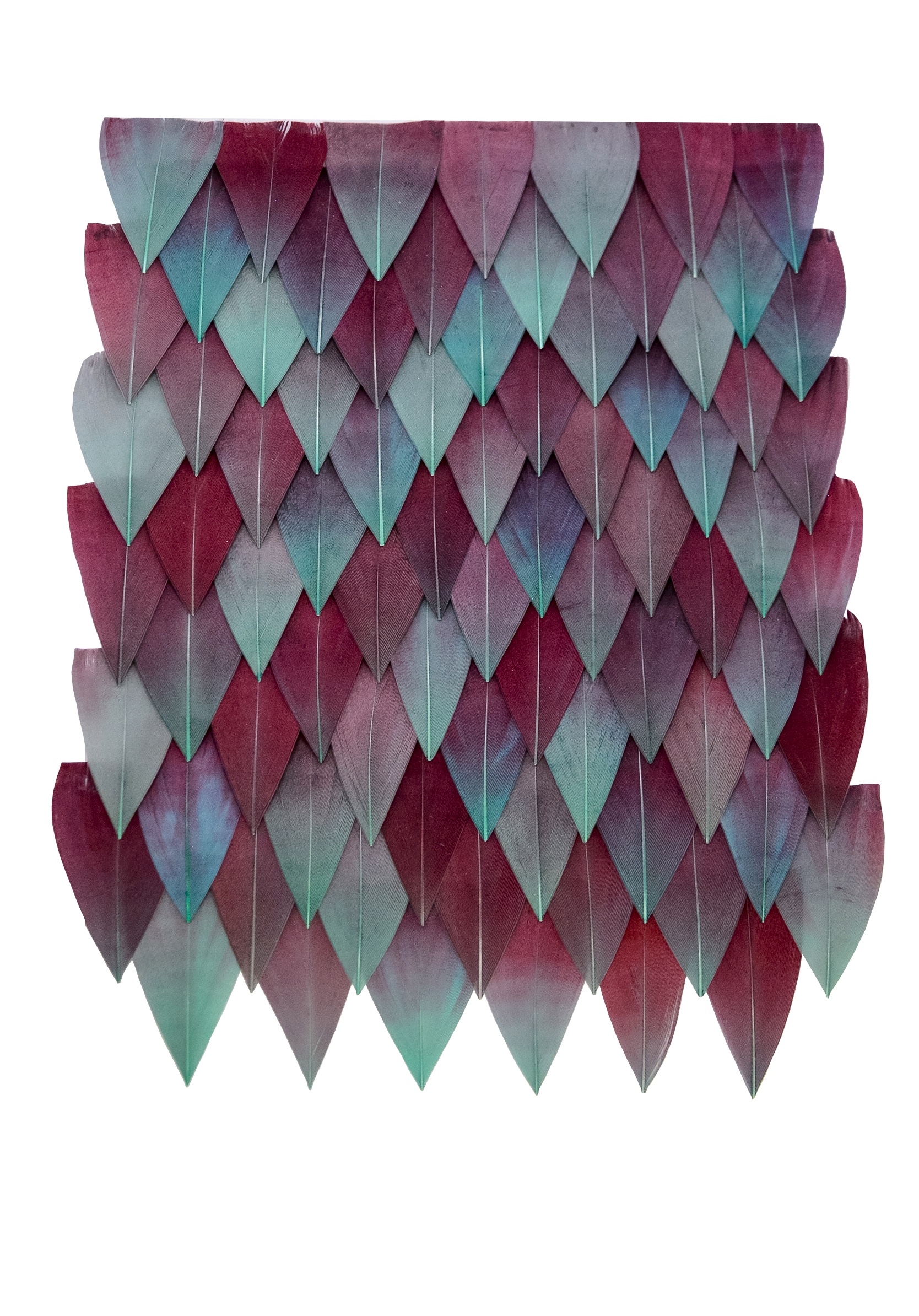 Echantillon plumasserie, Lady Cyrana. Couleur : rose, turquoise, rouge Catégorie : Graphic