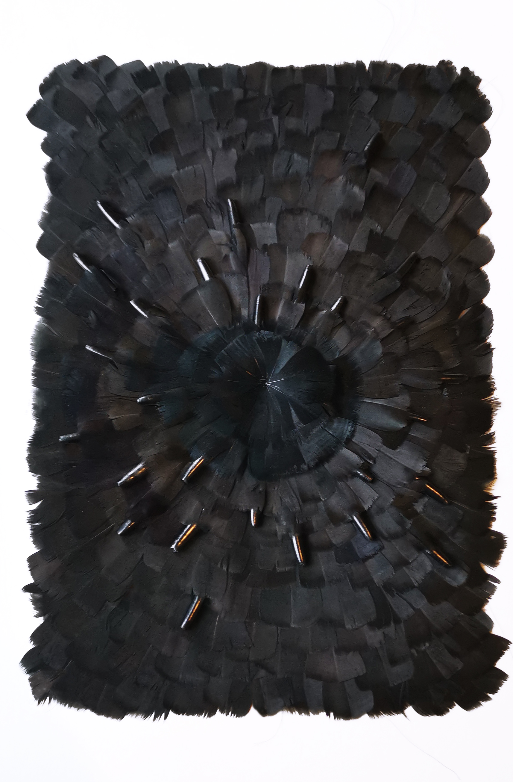 Echantillon plumasserie, Vortex. Couleur : noir Catégorie : Graphic