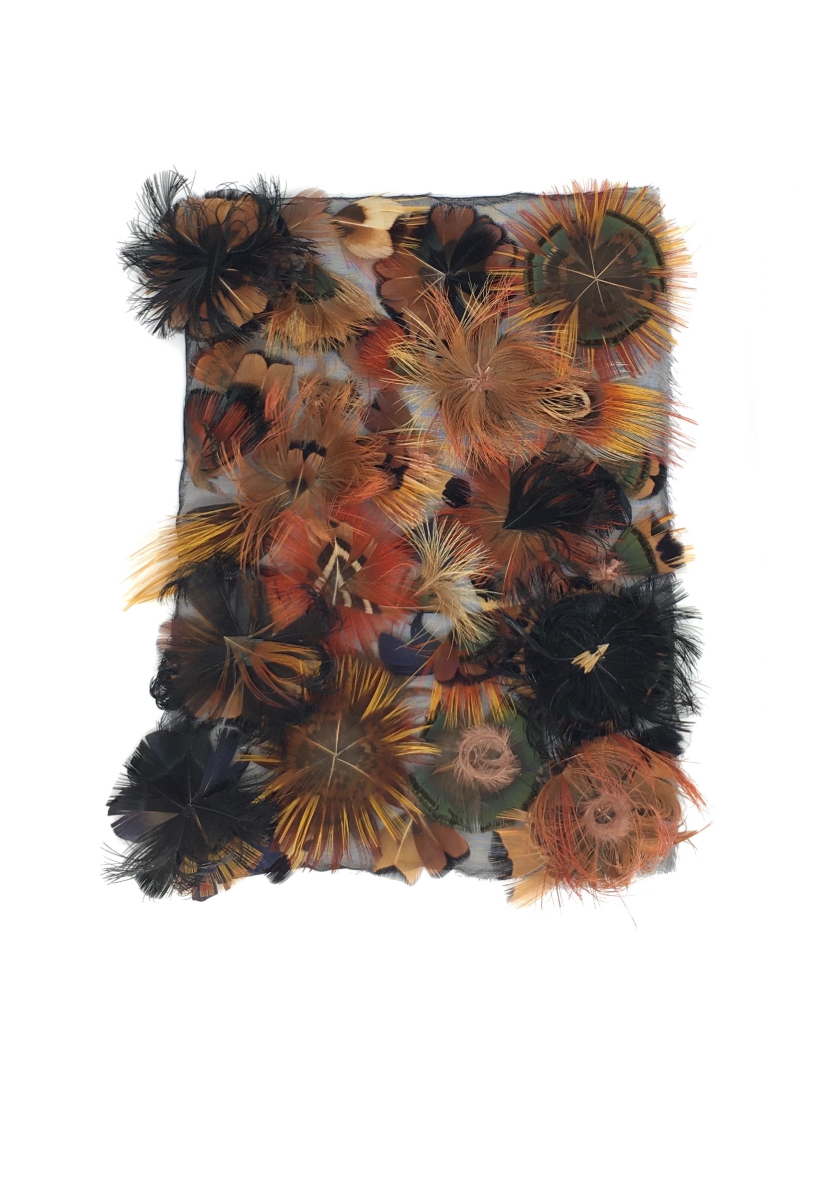 Echantillon plumasserie, Brown flowers. Couleur : marrons, fauve Catégorie : Végétal