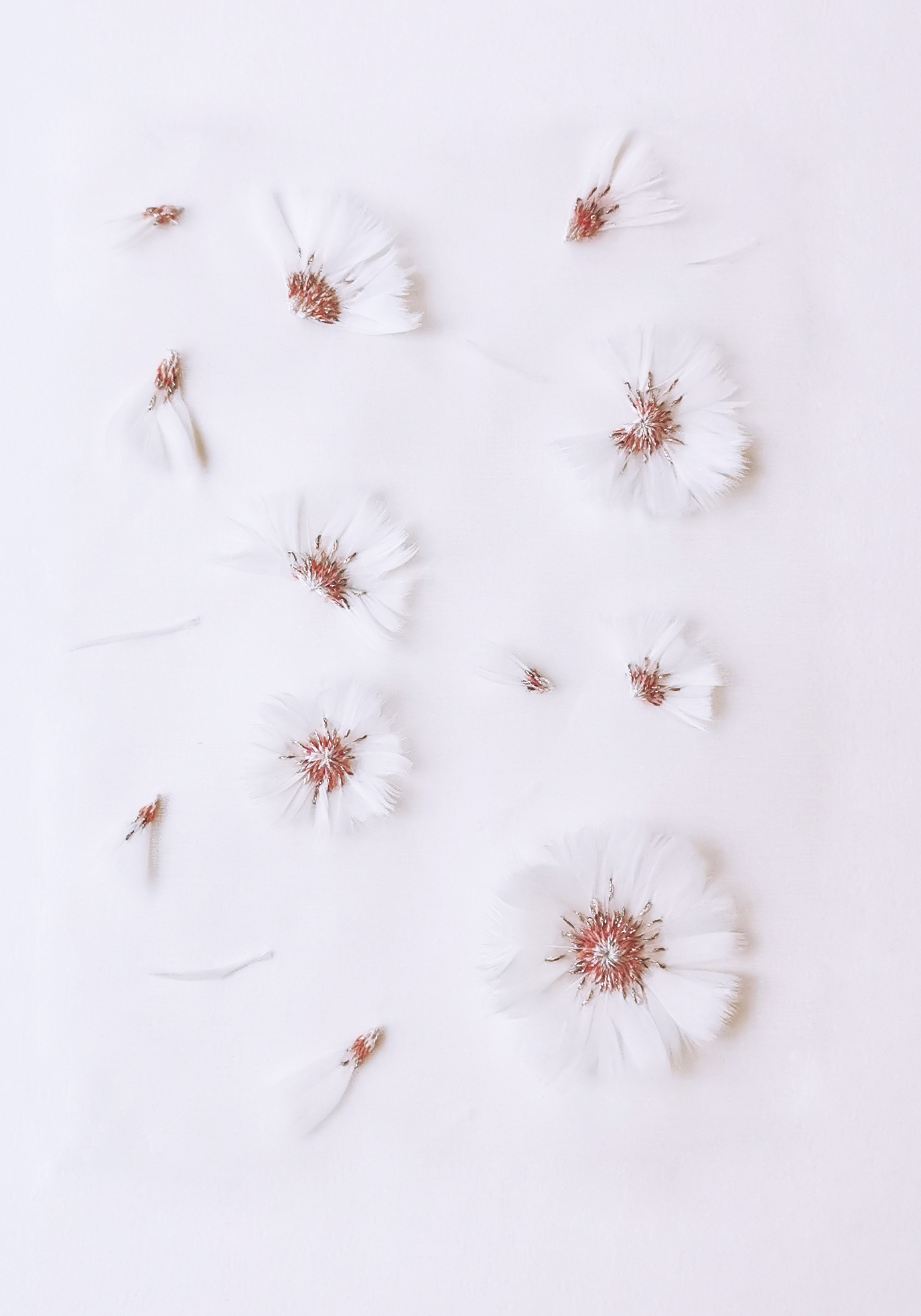 Echantillon plumasserie, Cherry blossom. Couleur : blanc, rouge Catégorie : Végétal