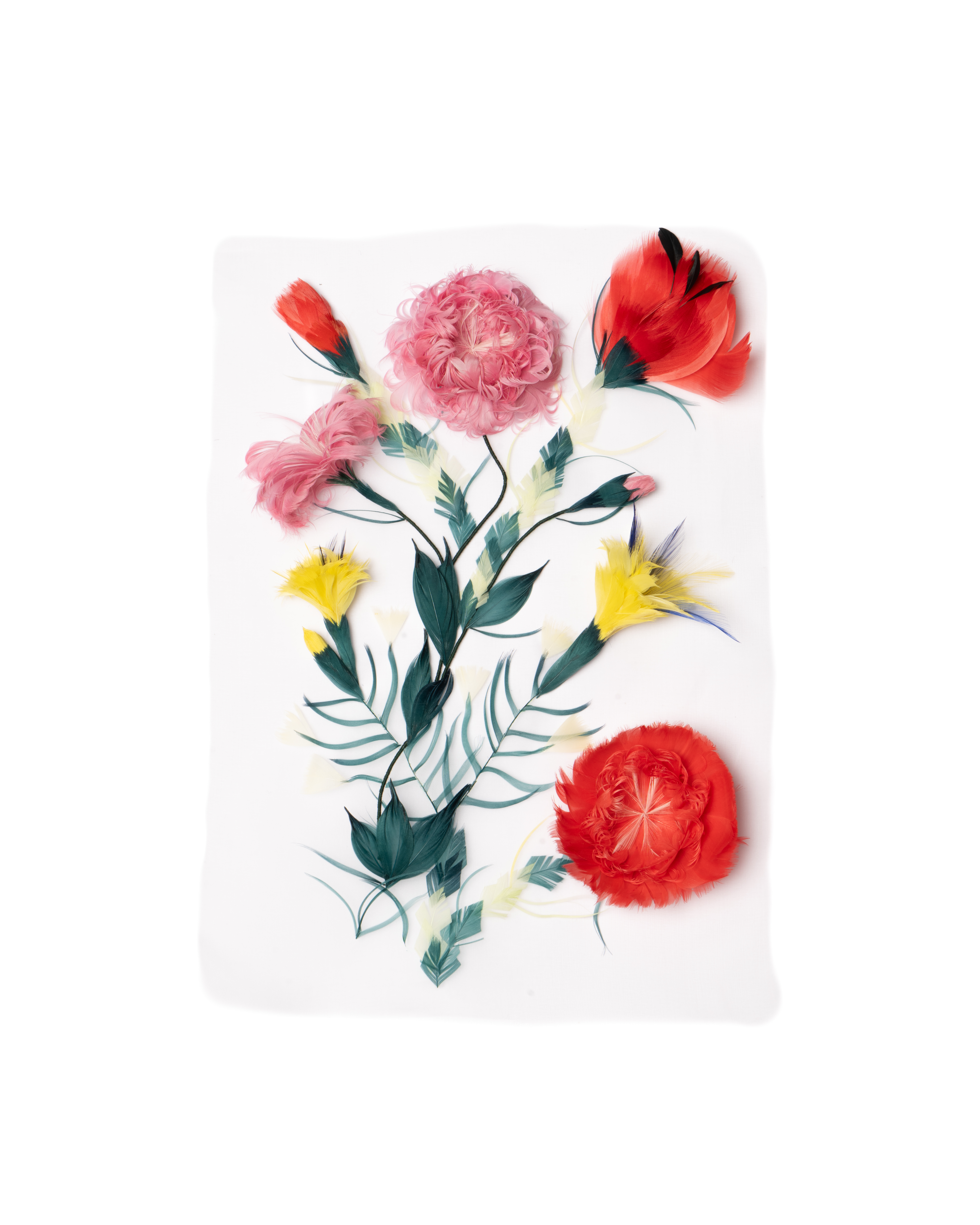 Echantillon plumasserie, Polka garden. Couleur : multicolor Catégorie : Végétal