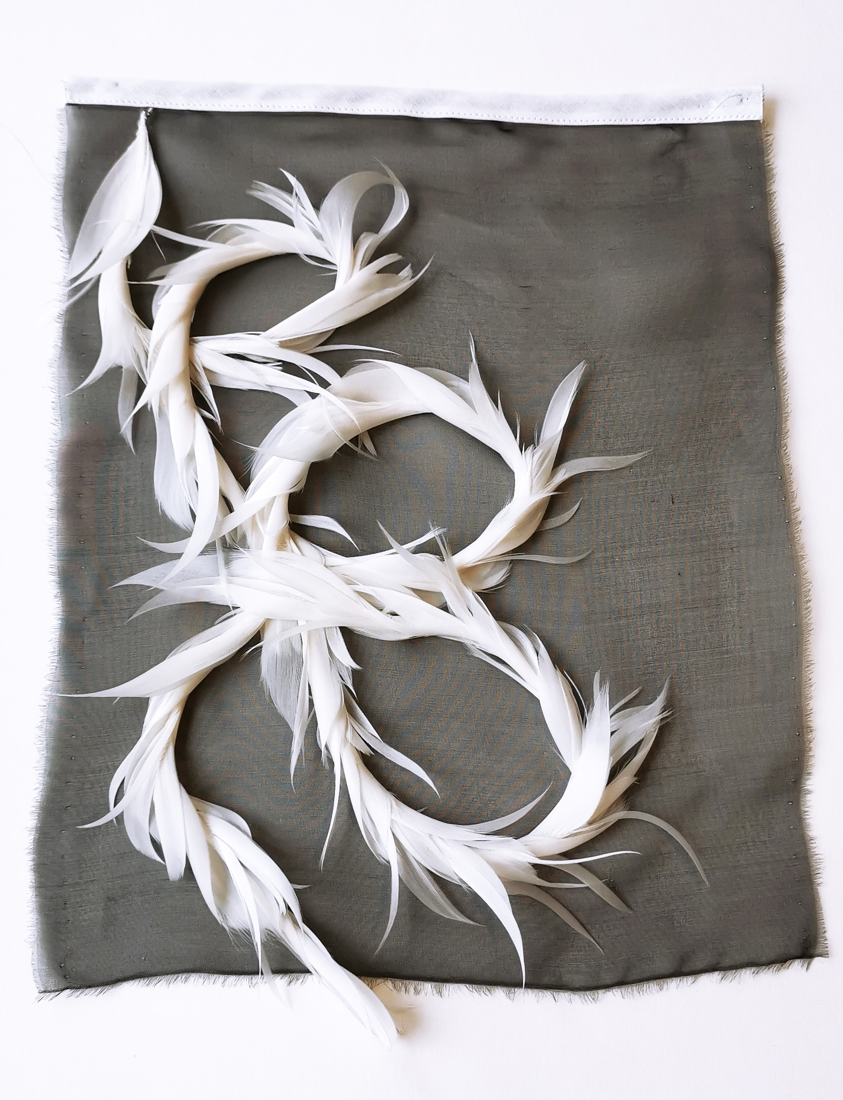 Echantillon plumasserie, Alizé. Couleur : blanc Catégorie : White