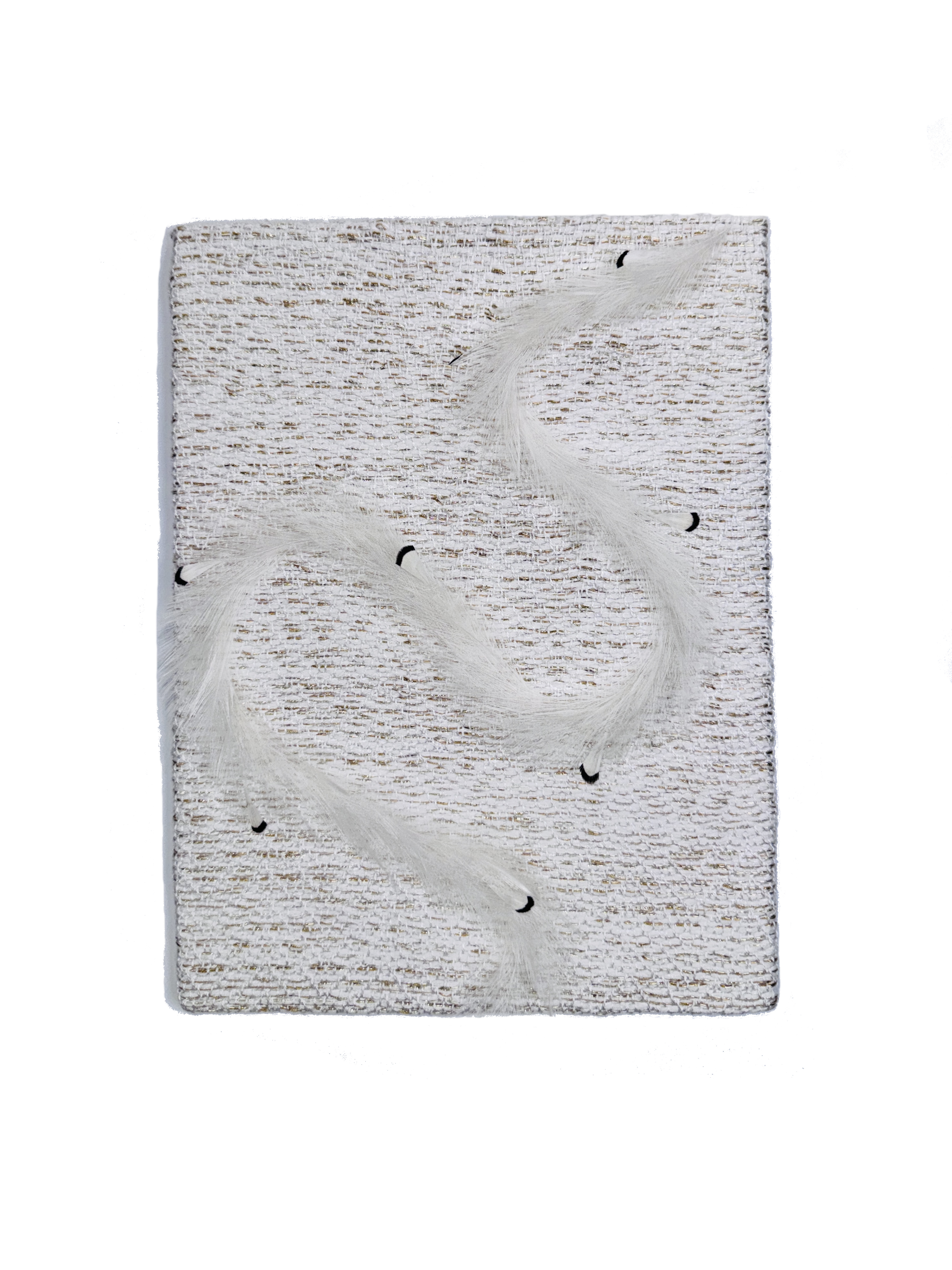 Echantillon plumasserie, Falor. Couleur : blanc. Catégorie : Animal.