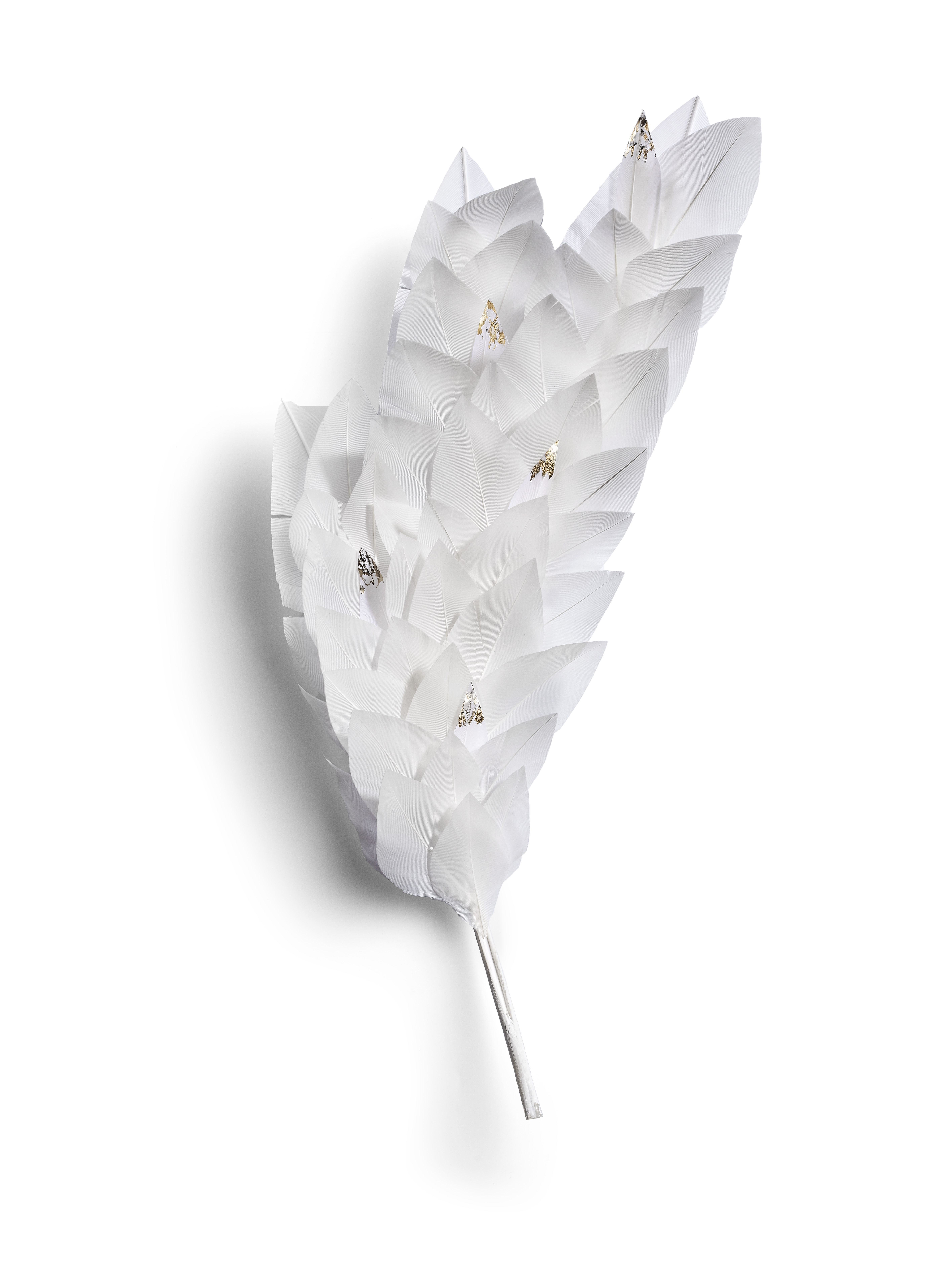 Echantillon plumasserie, Gardenia. Couleur : blanc. Catégorie : Floral