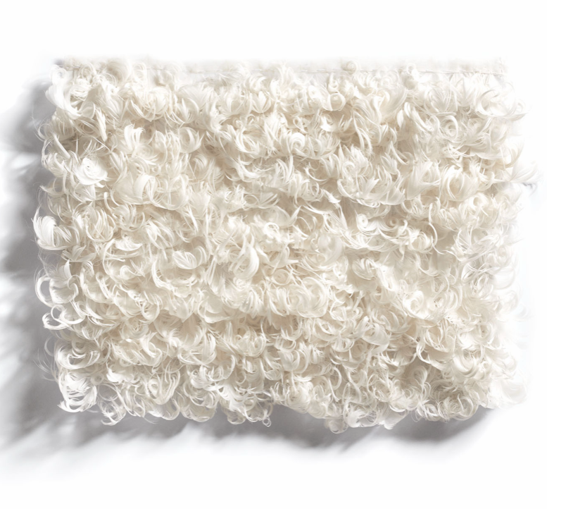 Echantillon plumasserie, merino. Couleur : Blanc Catégorie : Animal