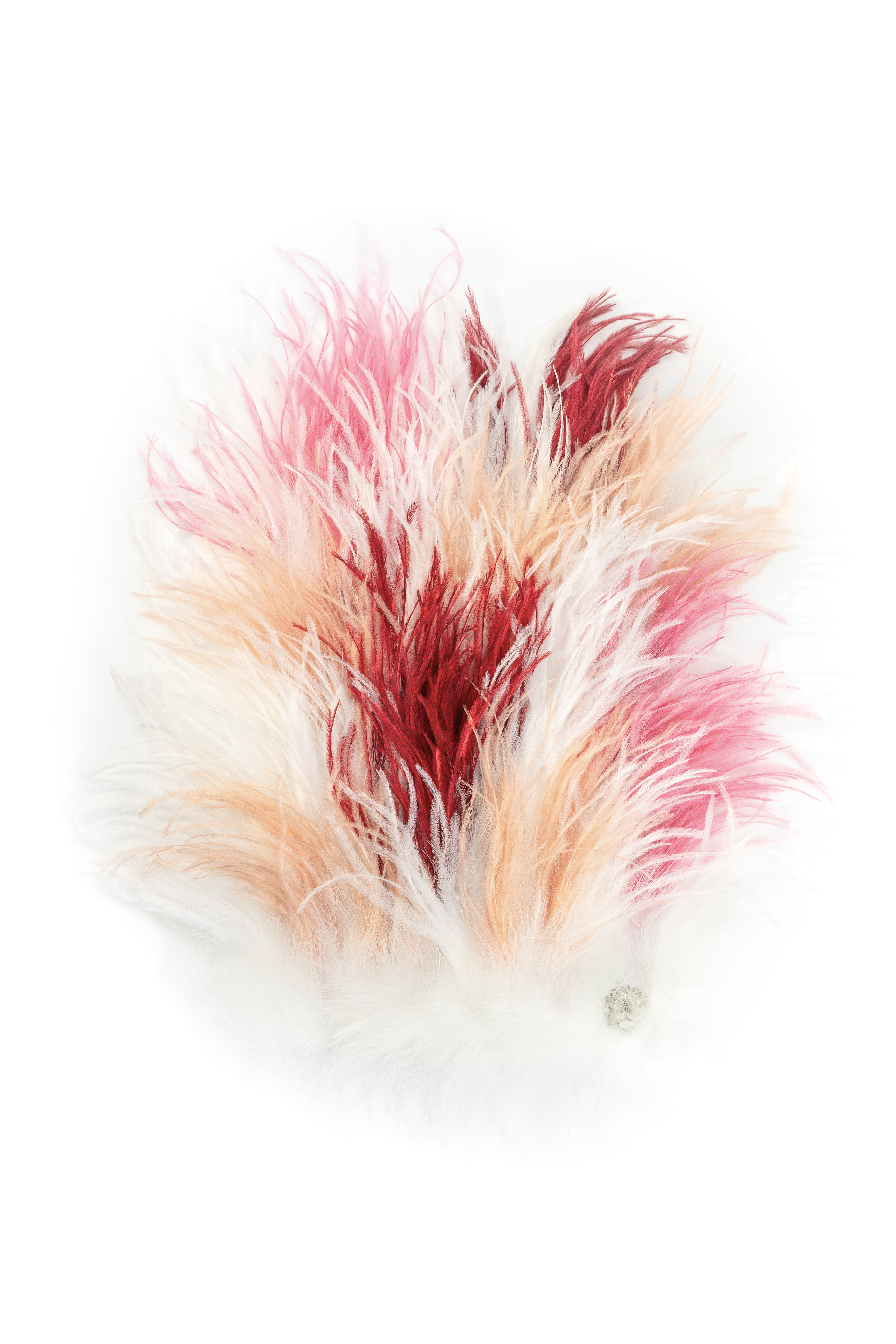 Echantillon plumasserie, blush. Couleur : Orange, Rouge, Rose, Blanc Catégorie : Multicolor