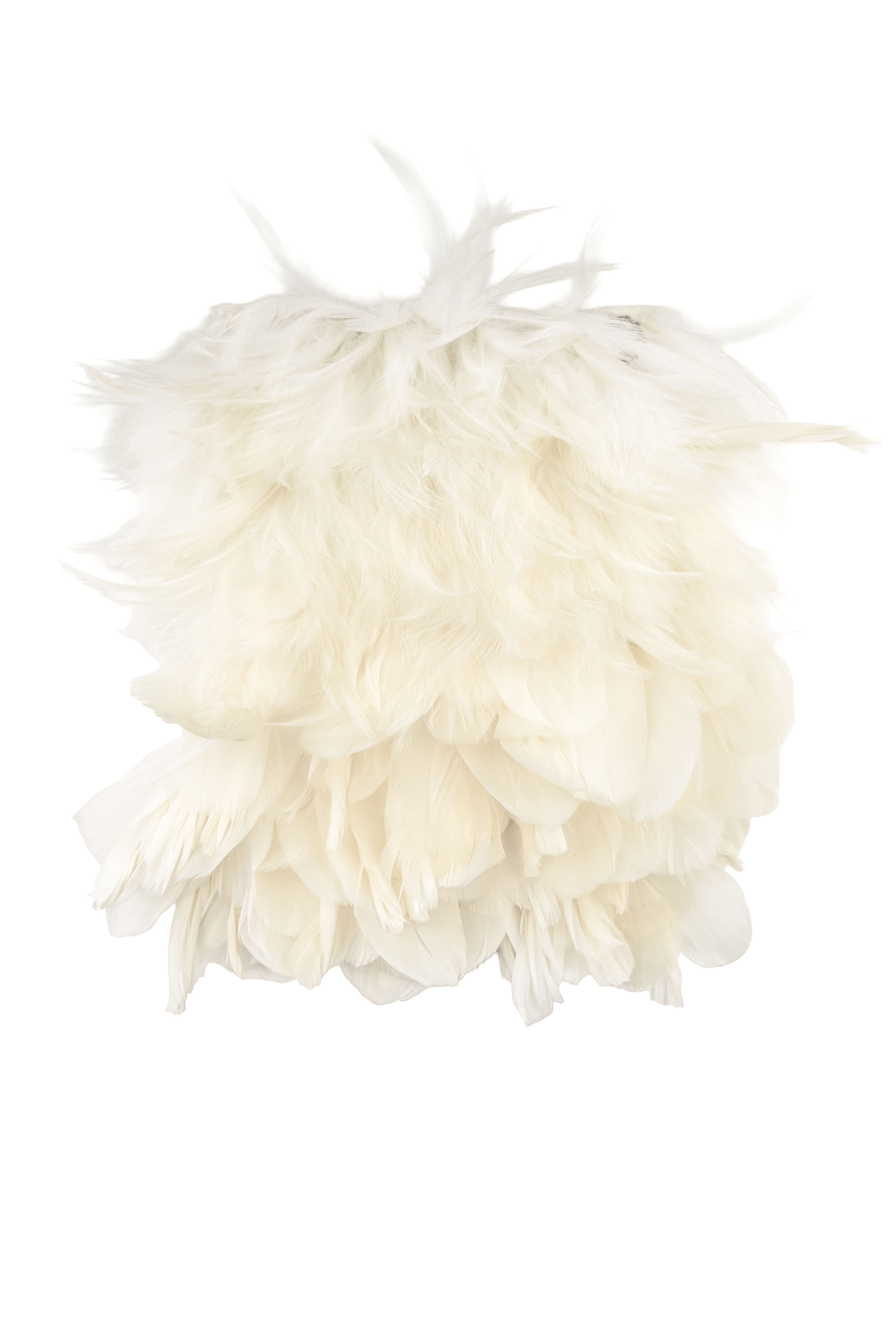 Echantillon plumasserie, Frozen Wind. Couleur : Blanc Catégorie : White