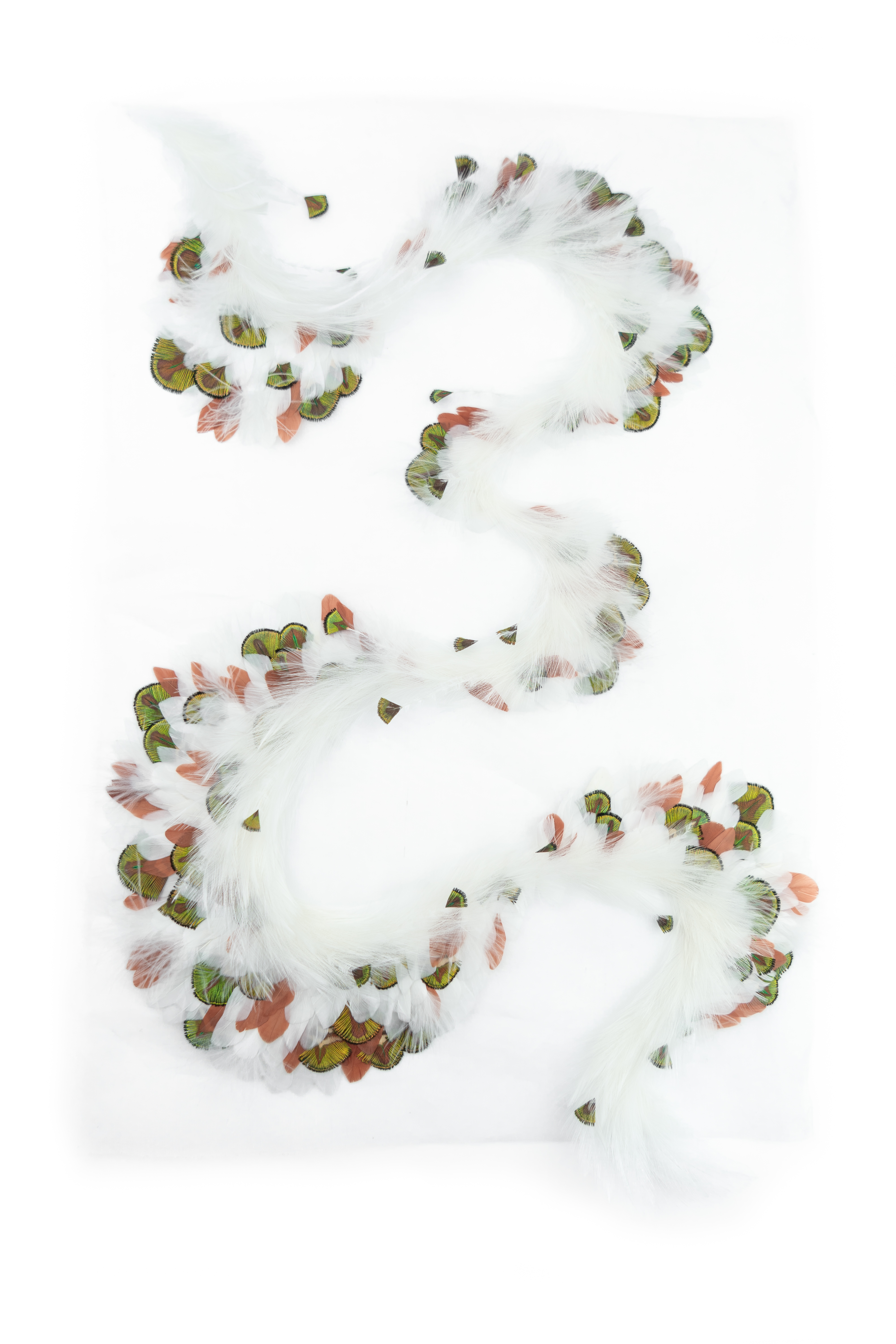 Echantillon plumasserie, Giant Falkor. Couleur : Blanc, Vert, Marron Catégorie : Animal