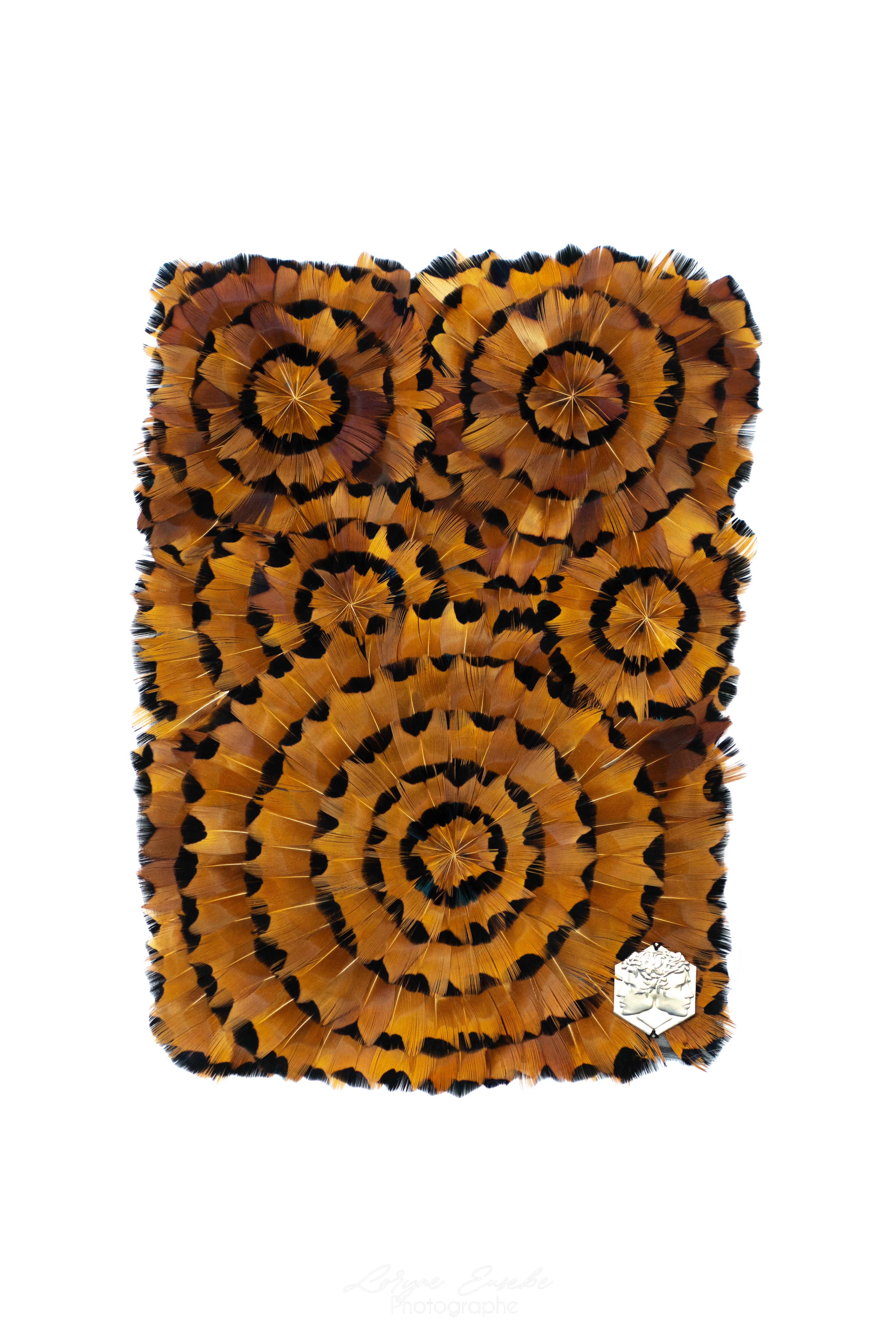 Echantillon plumasserie, woodycircle. Couleur : Orange, Noir Catégorie : Graphic