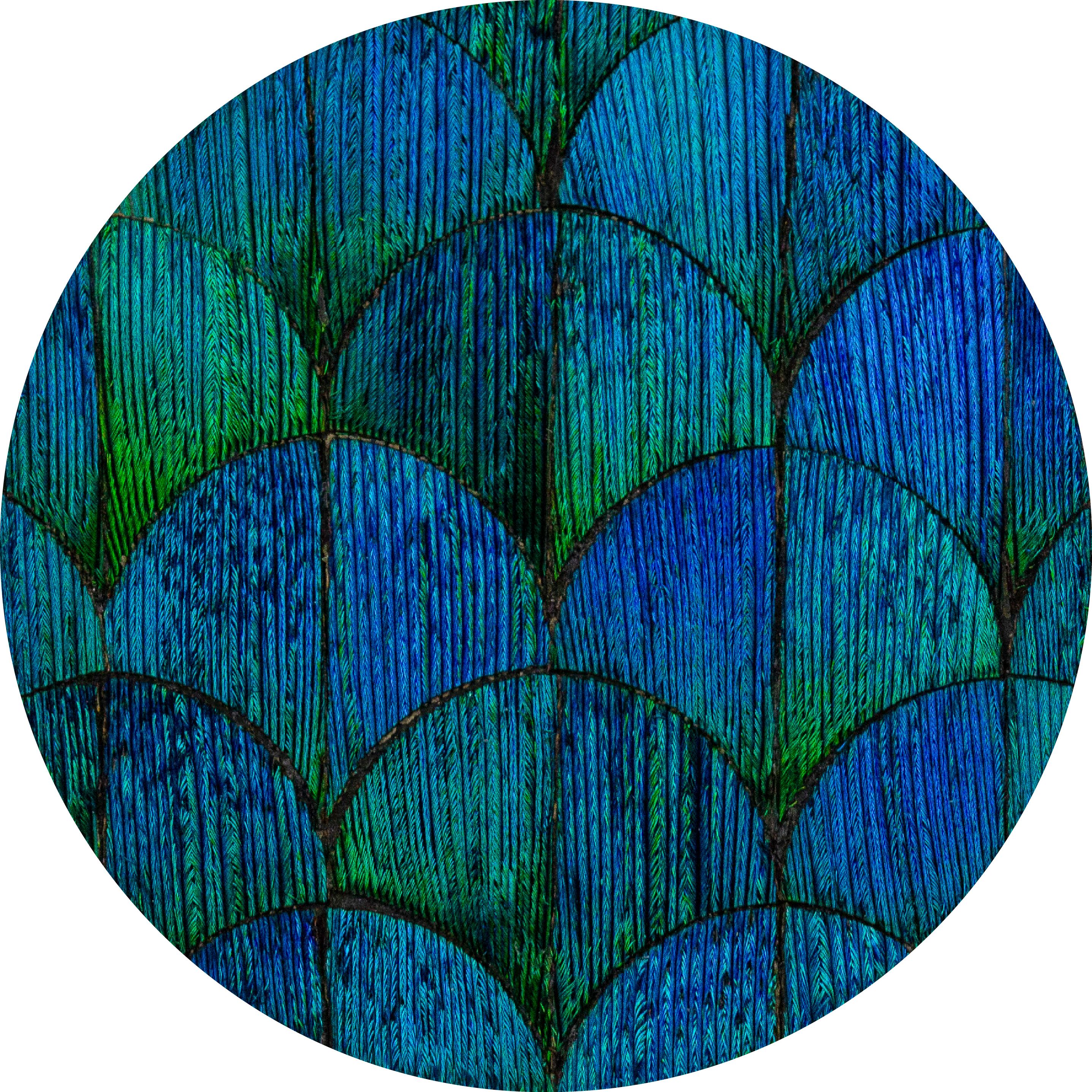 Echantillon microplumasserie, Nenuphar. Couleur : Vert, Bleu Catégorie : Graphic