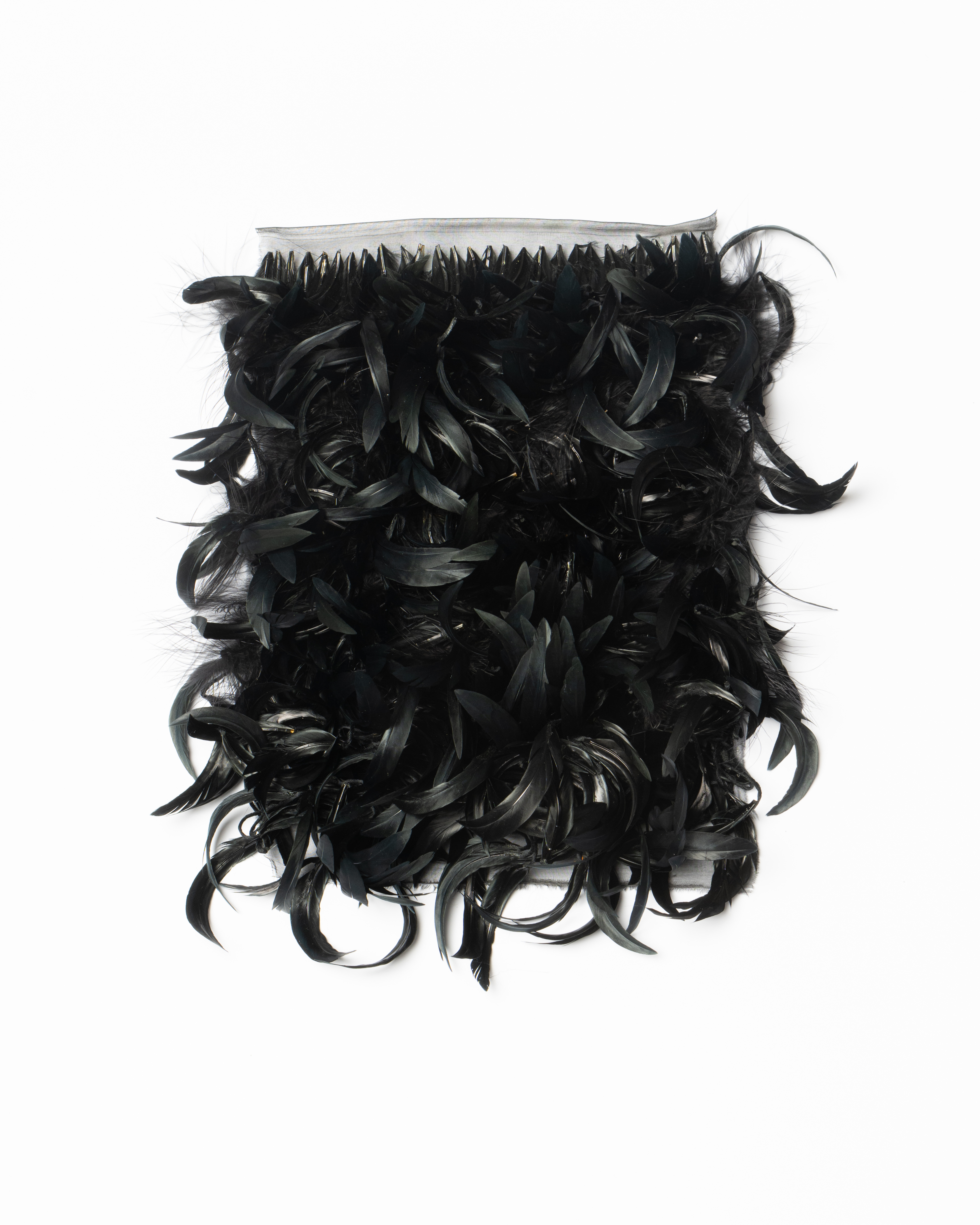 Echantillon plumasserie, Banshee. Couleur : Noir Catégorie : Black