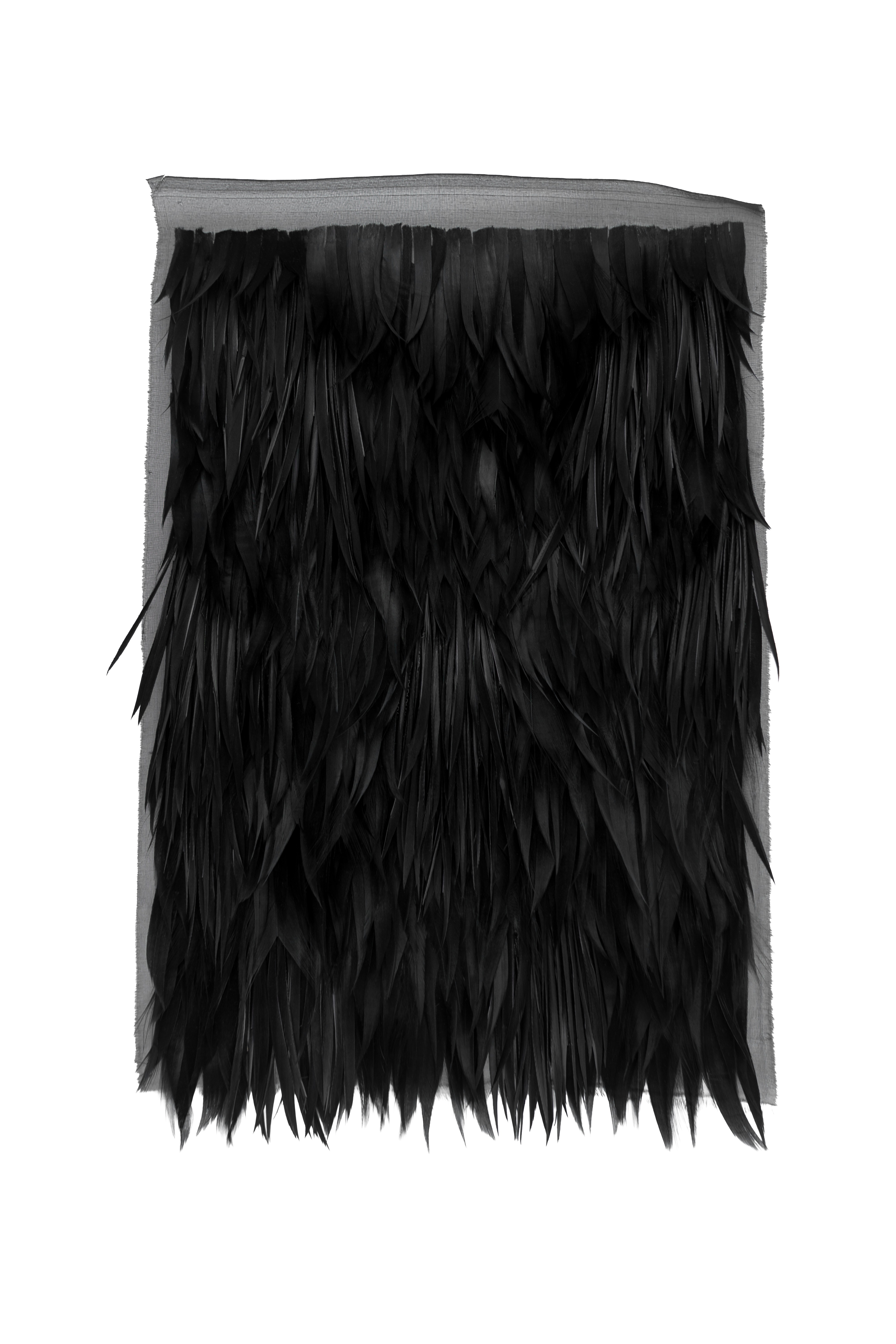 Echantillon plumasserie, charbon. Couleur : Noir Catégorie : Black