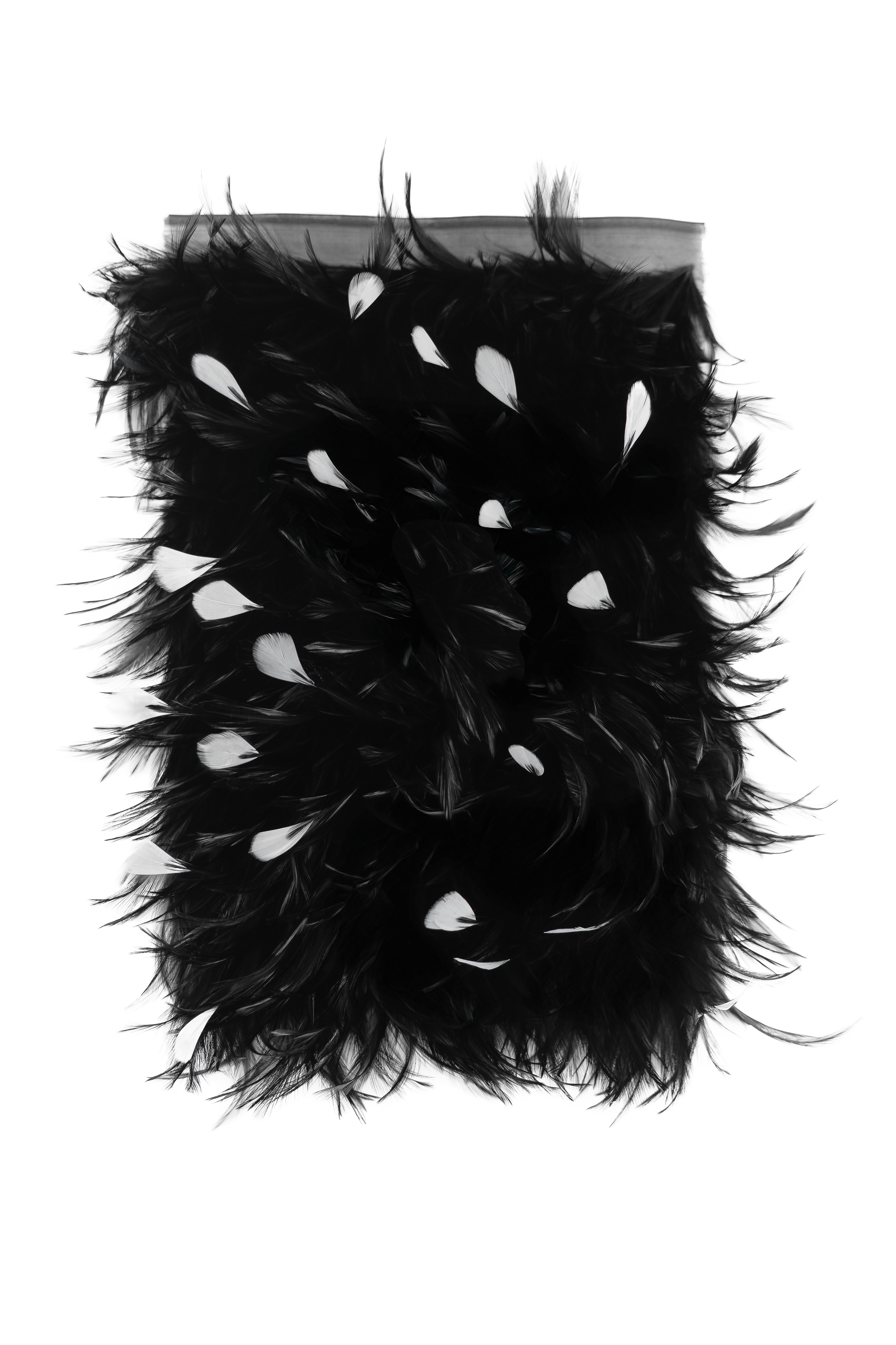 Echantillon plumasserie, raven-claws. Couleur : Noir, Blanc Catégorie : Black