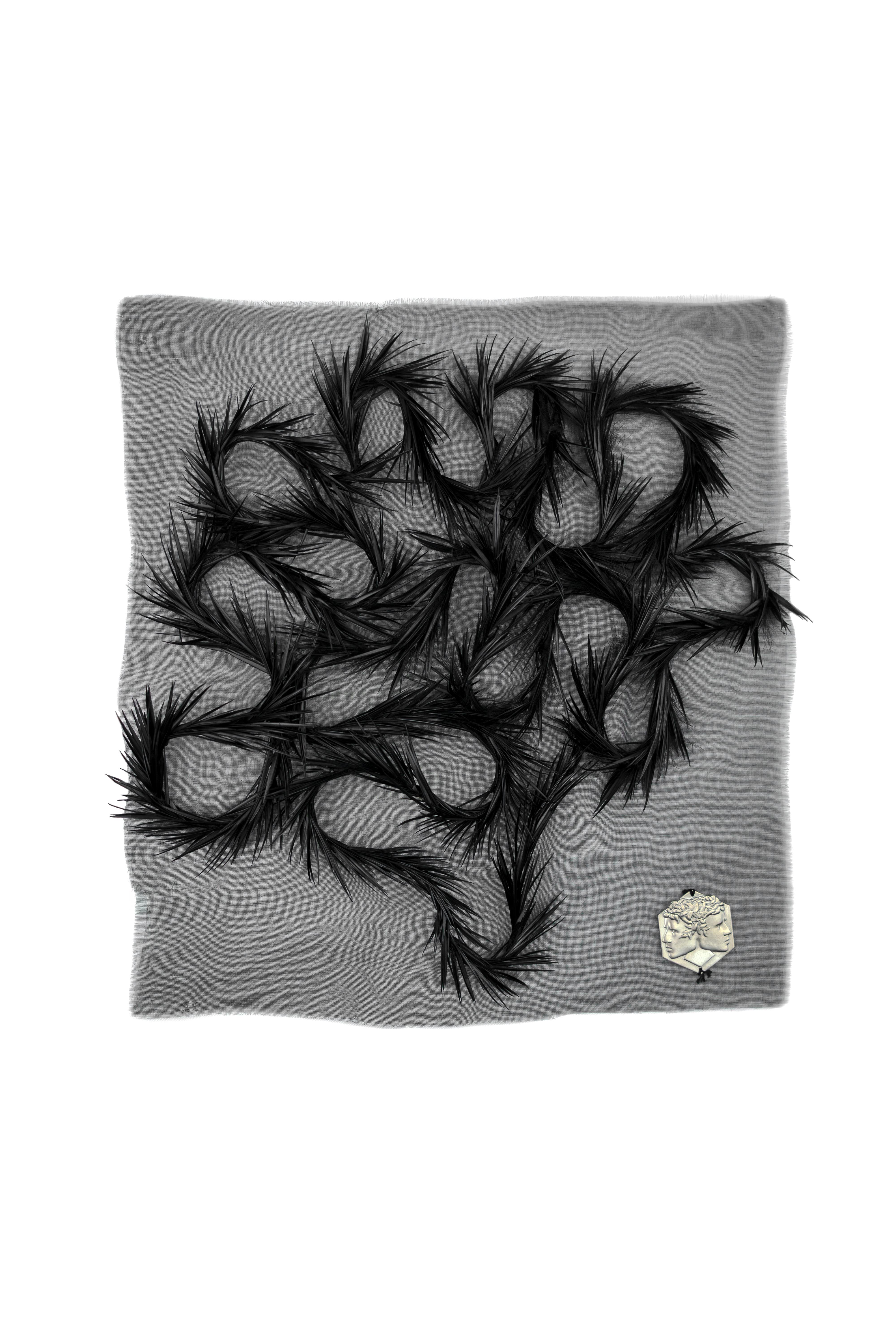 Echantillon plumasserie, carline. Couleur : Noir Catégorie : Embroidery