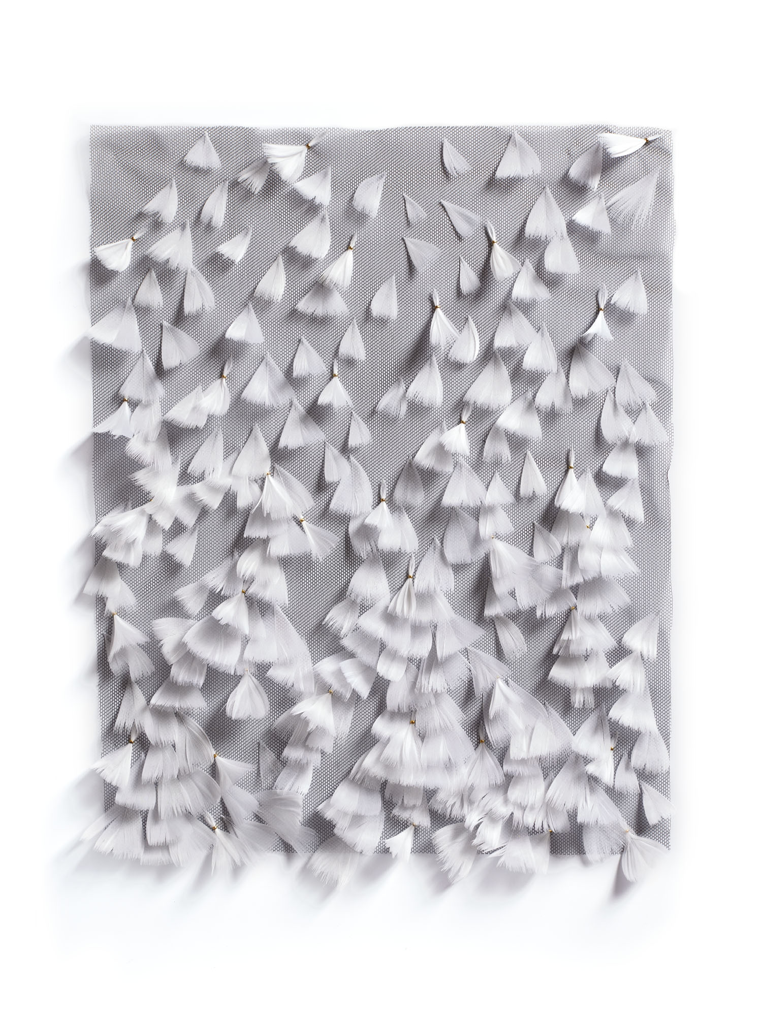 Echantillon plumasserie, Haze. Couleur : Blanc Catégorie : Embroidery