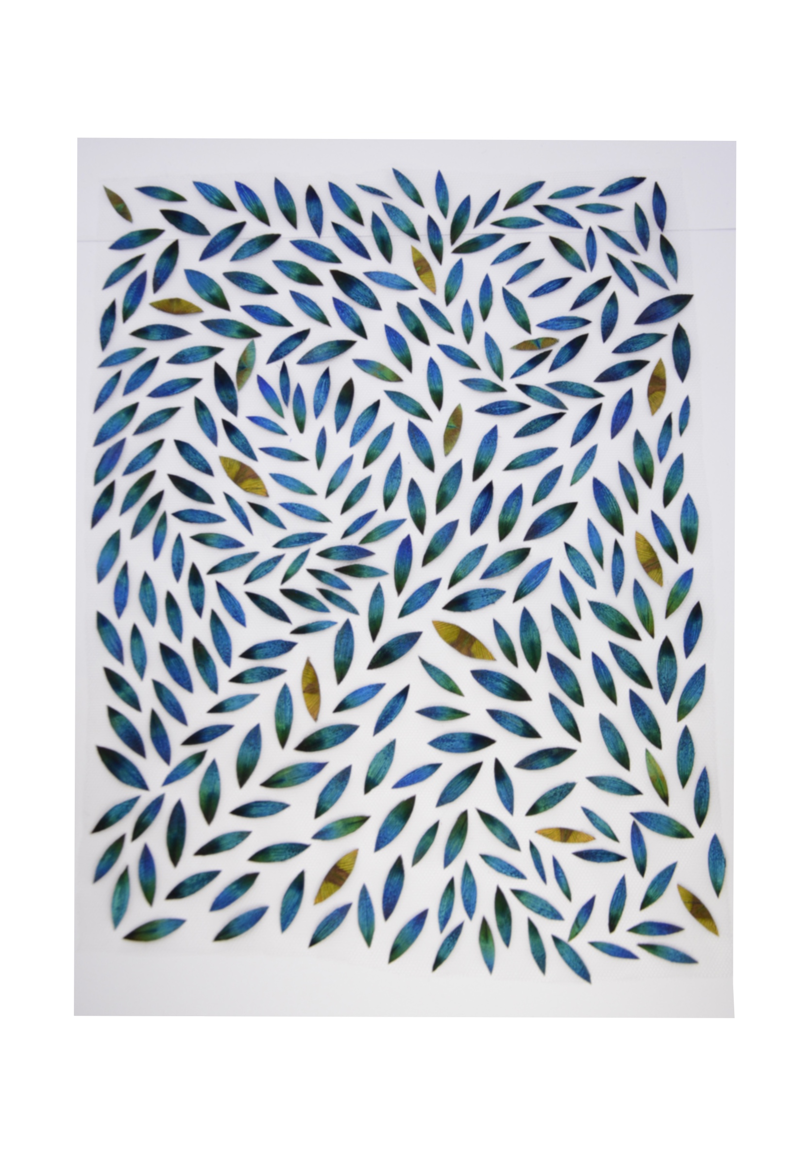 Echantillon plumasserie, Lord Peacock. Couleur : Vert, Bleu Catégorie : Végétal