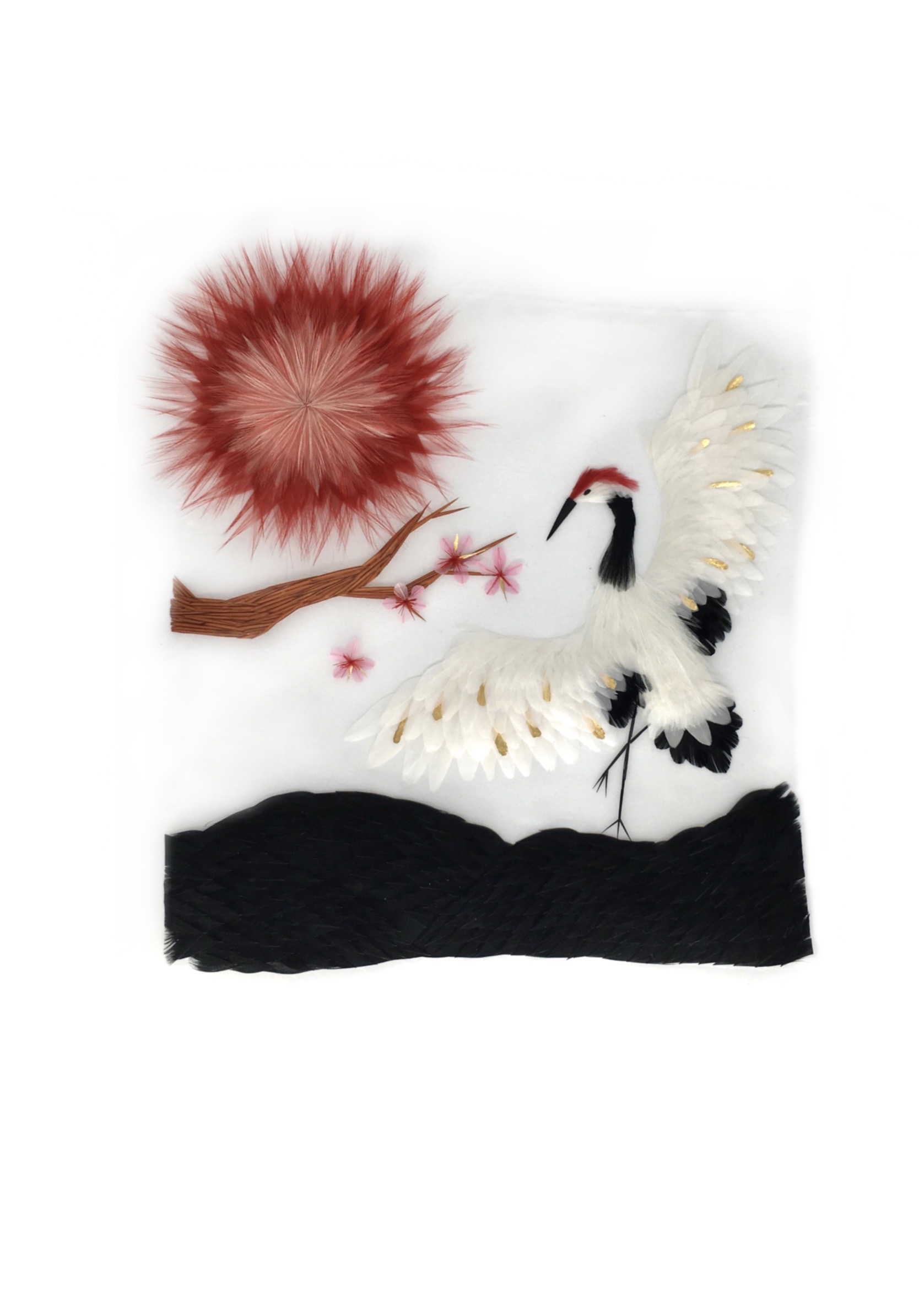 Echantillon plumasserie, Crane. Couleur : Noir, Rouge, Rose Catégorie : Vegetal