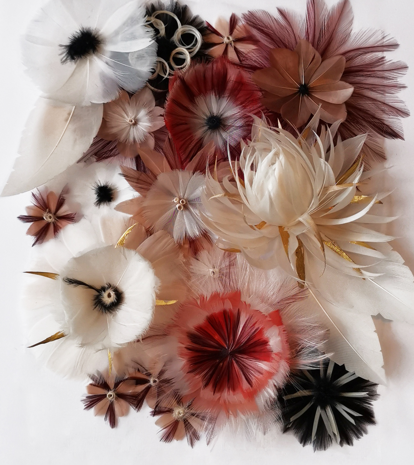 Echantillon plumasserie, Duchess Garden. Couleur : Rouge, Rose, Noir, Doré Catégorie : Vegetal