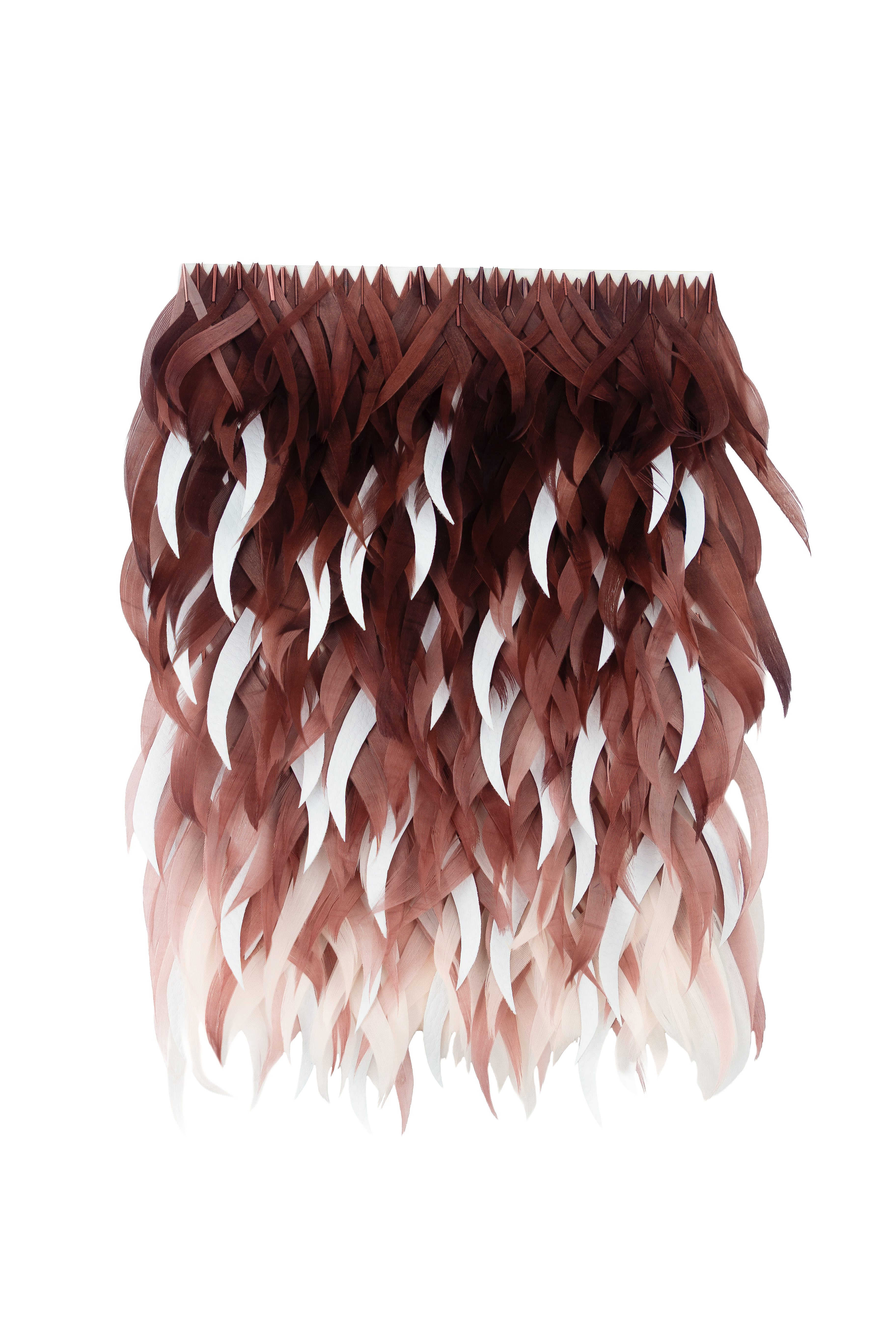 Echantillon plumasserie, mandibles. Couleur : Bordeaux, Rose, Blanc Catégorie : Graphic